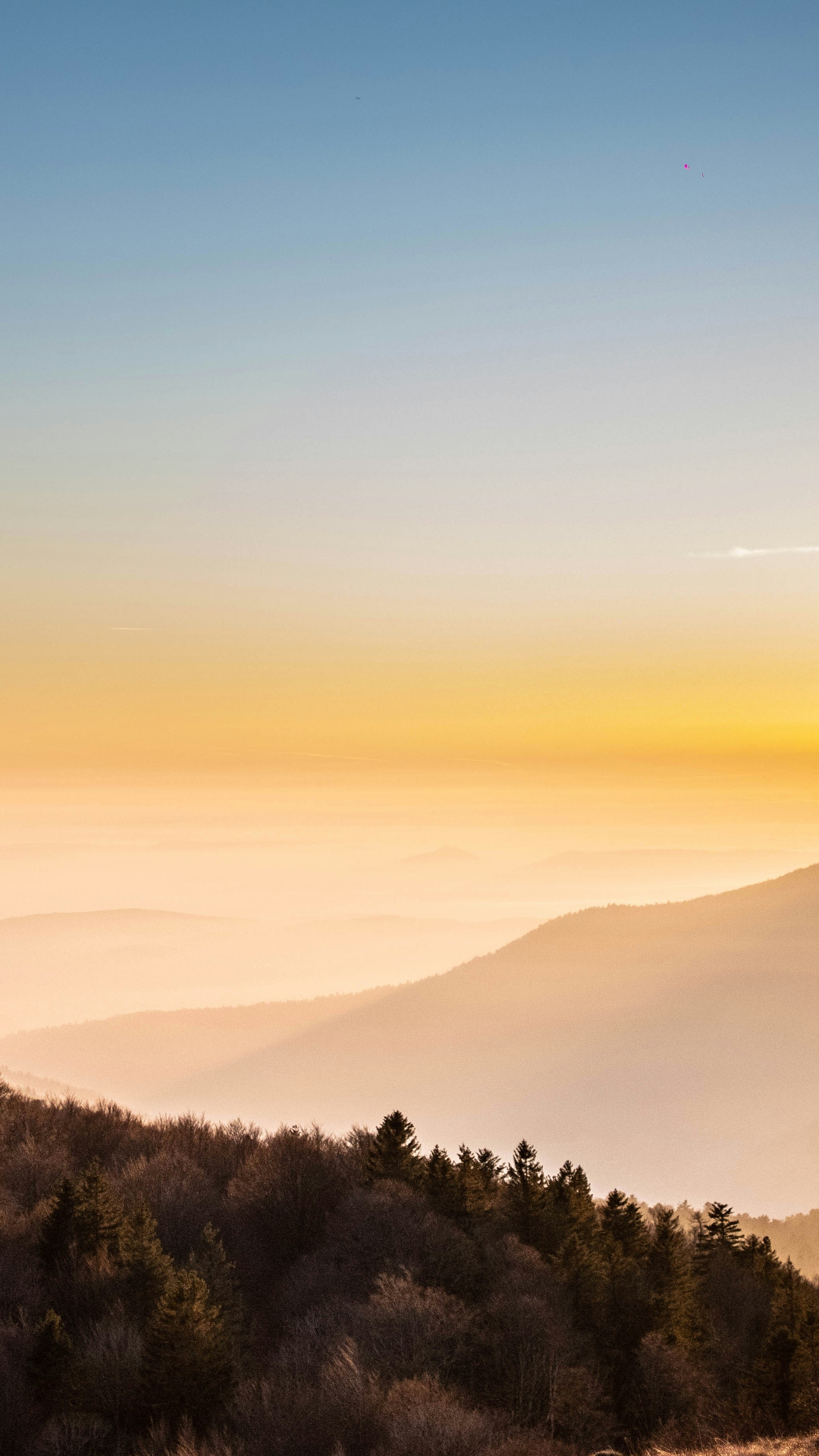 Landscapes