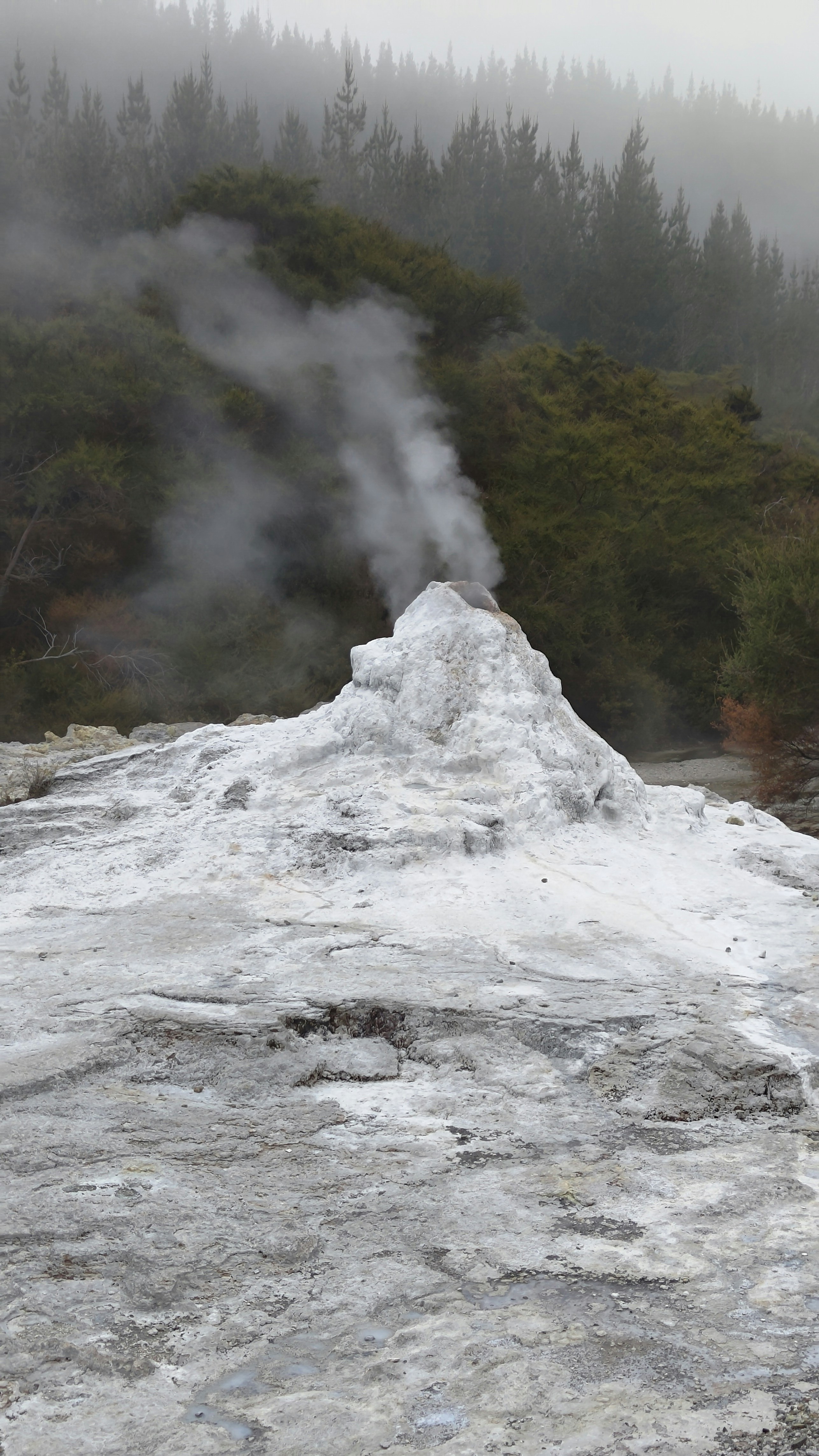 Steaming White Geyser Cone