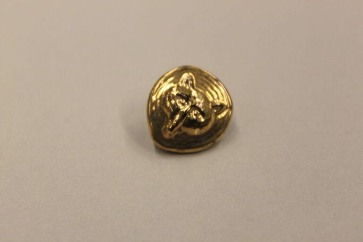 Golden Fox Head Lapel Pin