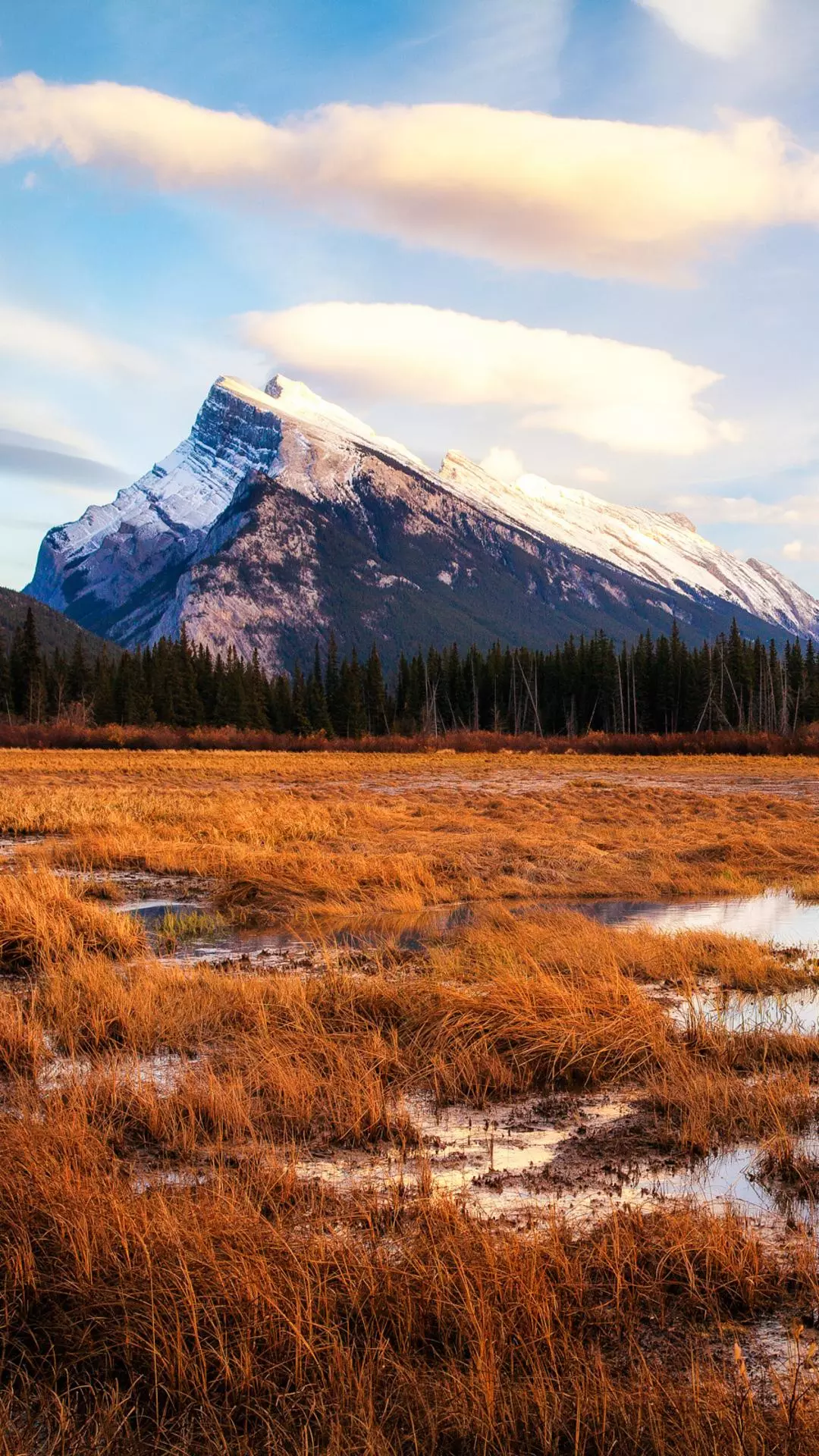 Landscapes