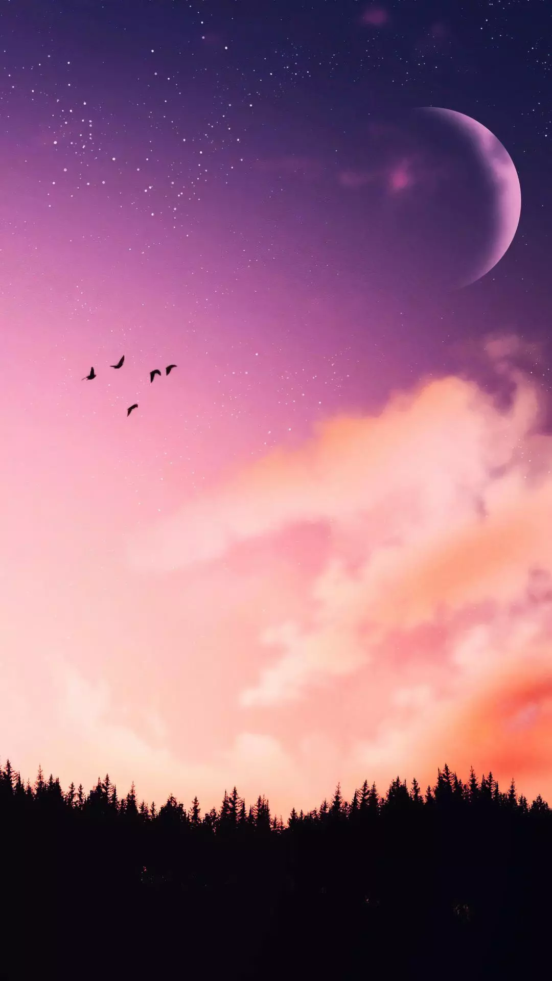Wallpapers