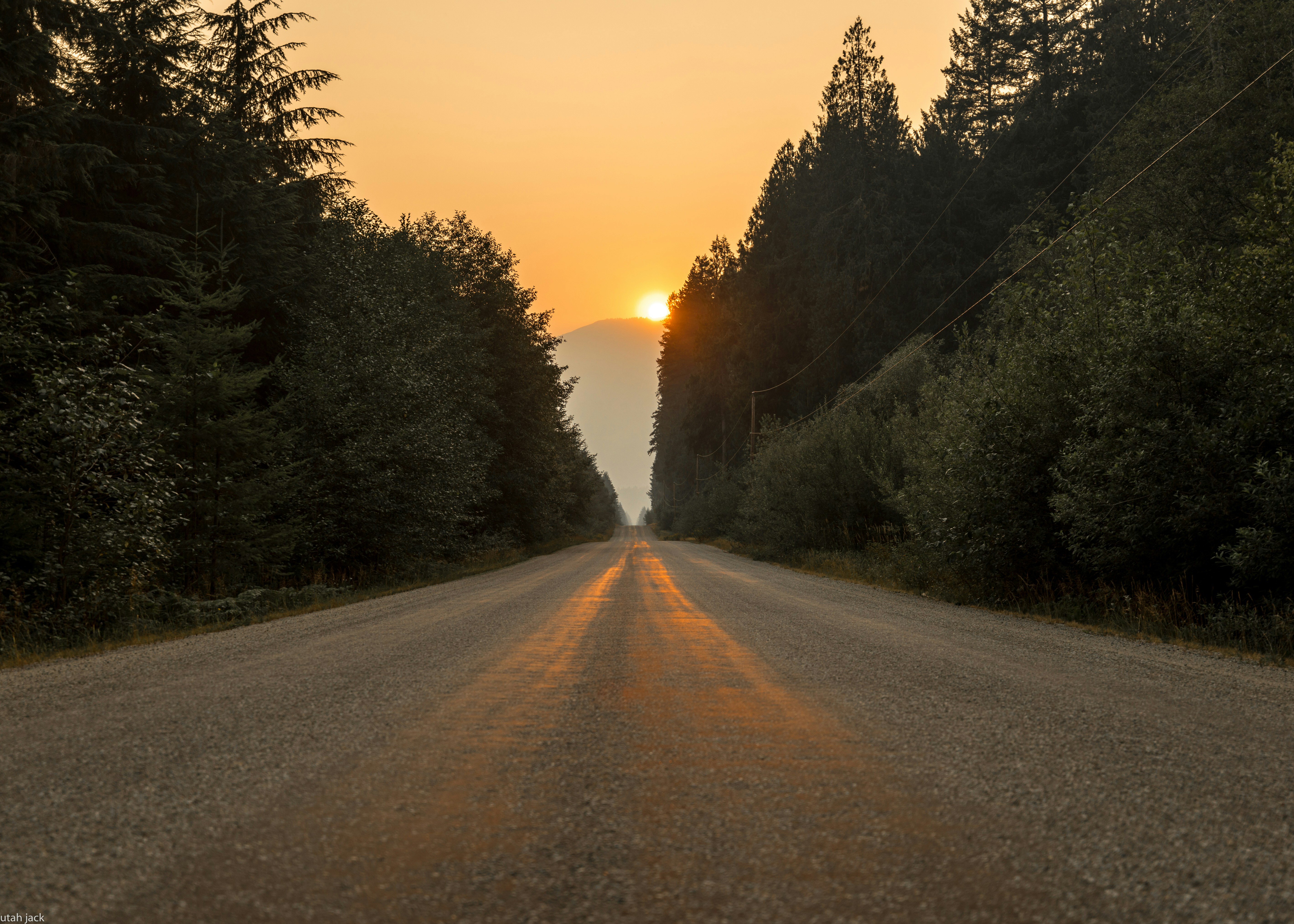 Sunset Over Forest Gravel Road