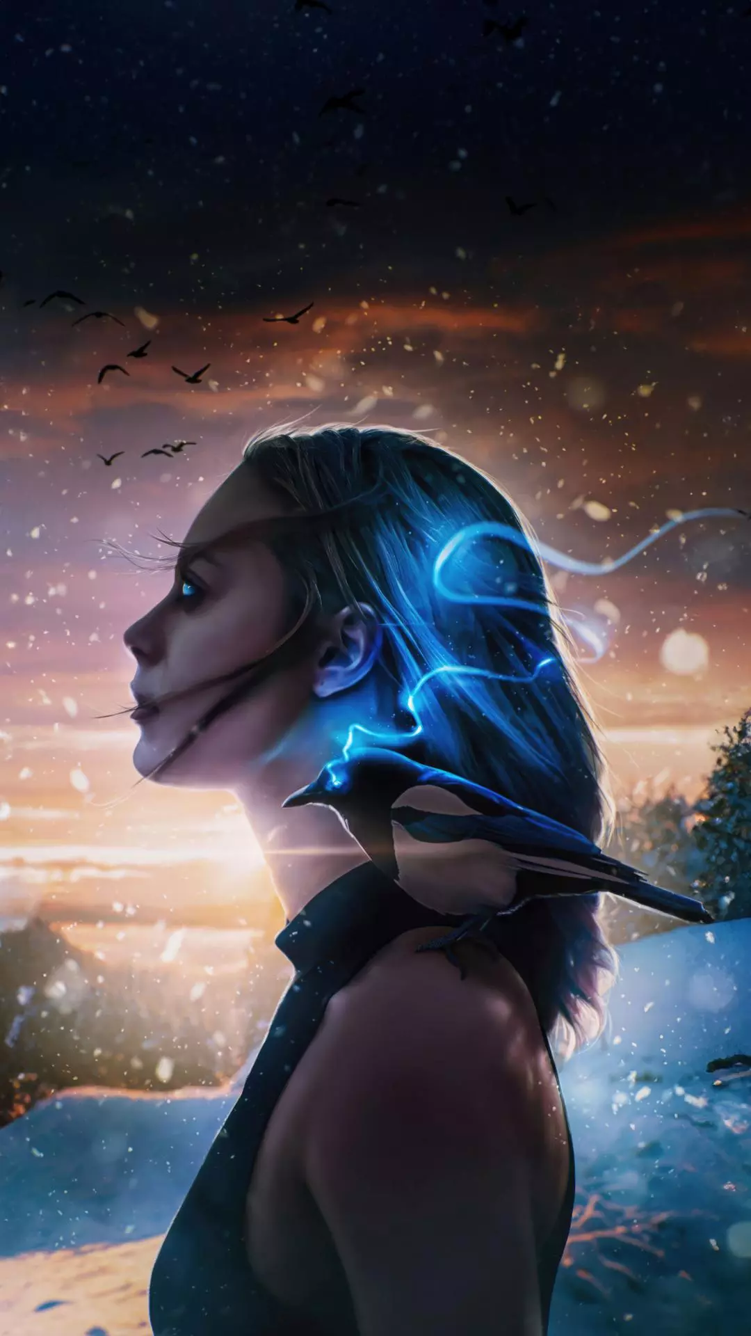 Wallpapers