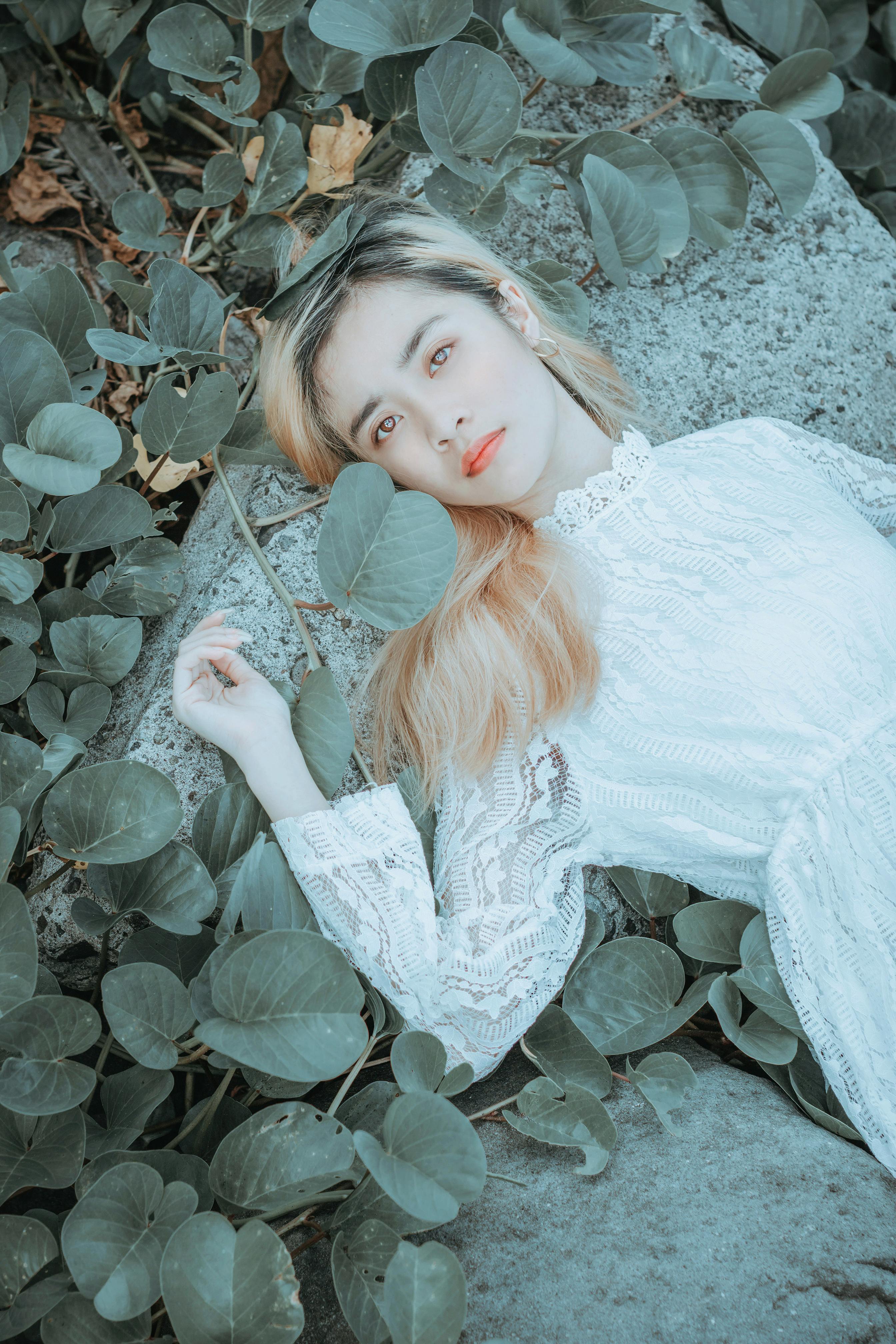 Forest & Flora