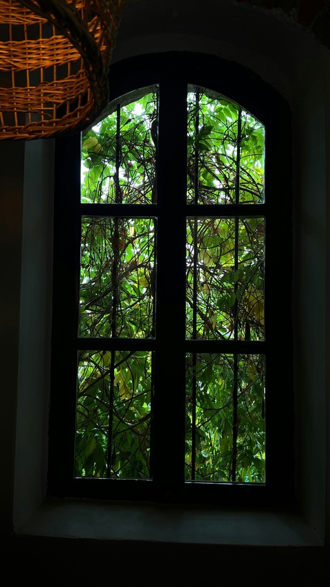 Arched Window Overlooking Green Foliage