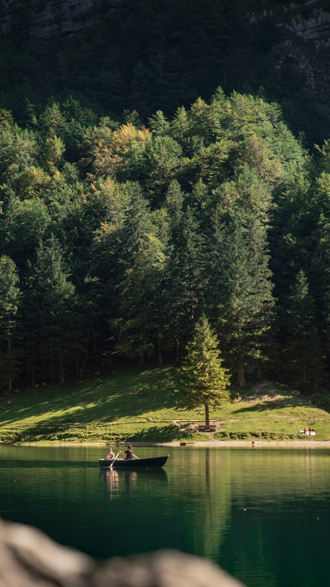 Landscapes