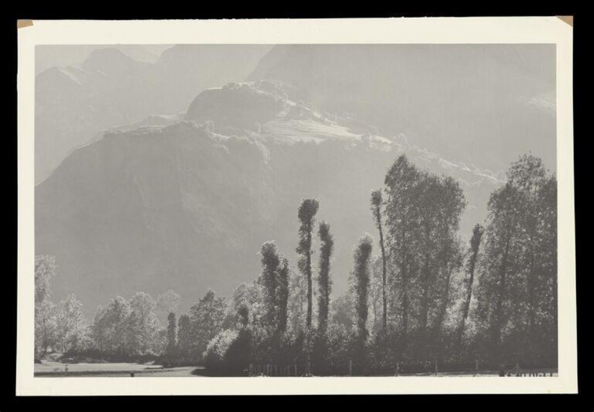 Monochrome Mountain Landscape