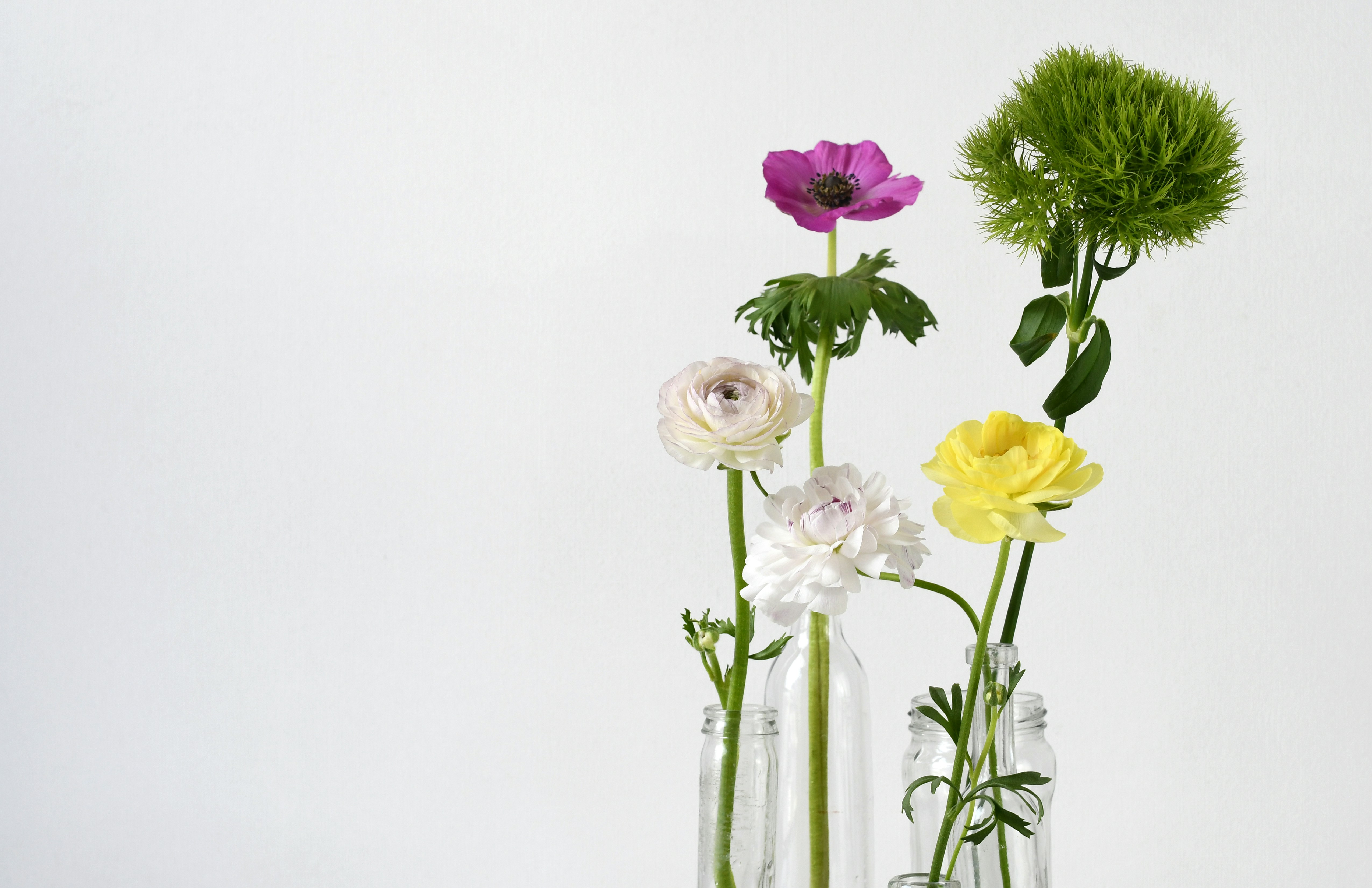 Mixed Cut Flowers in Glass Vases