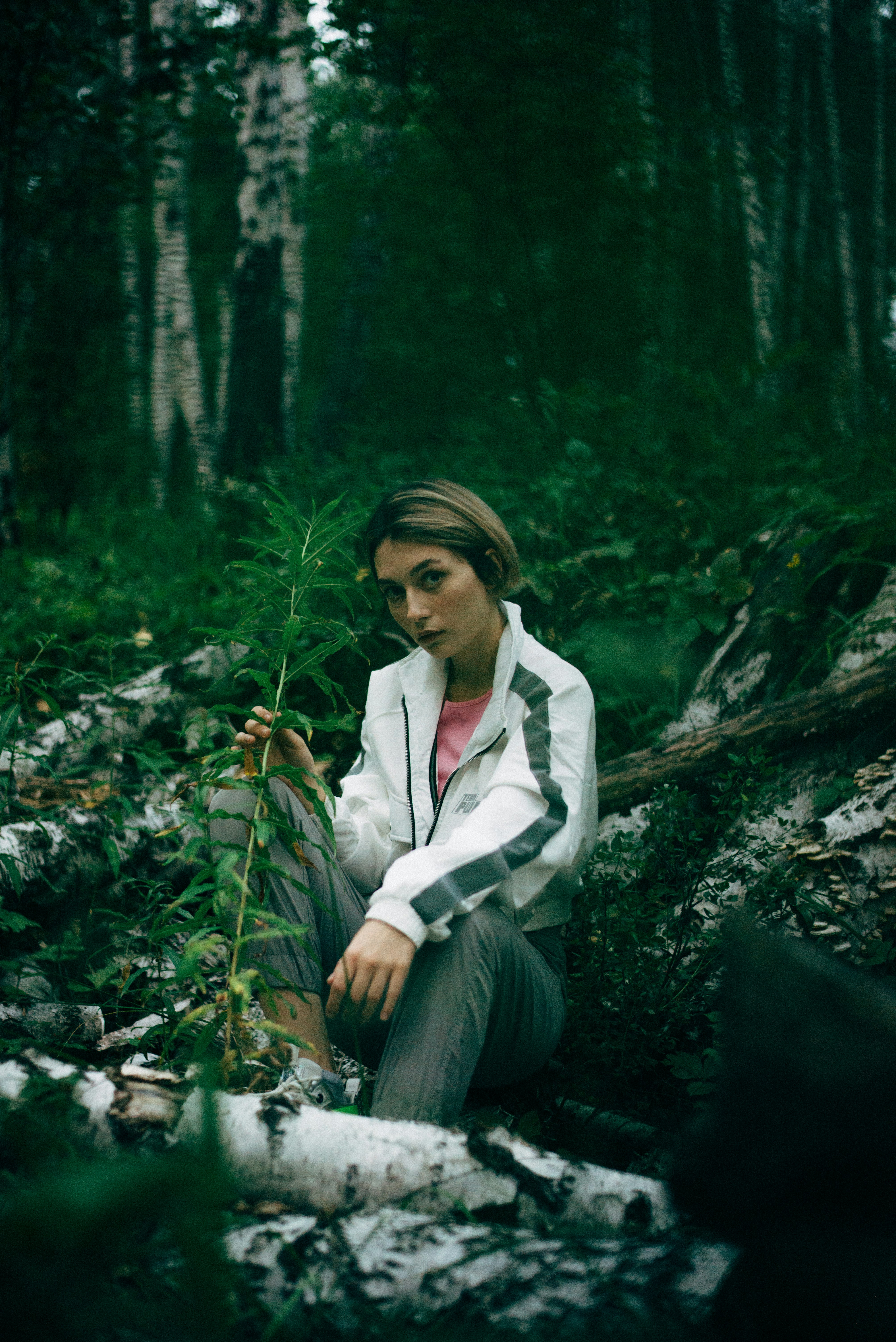 Forest & Flora