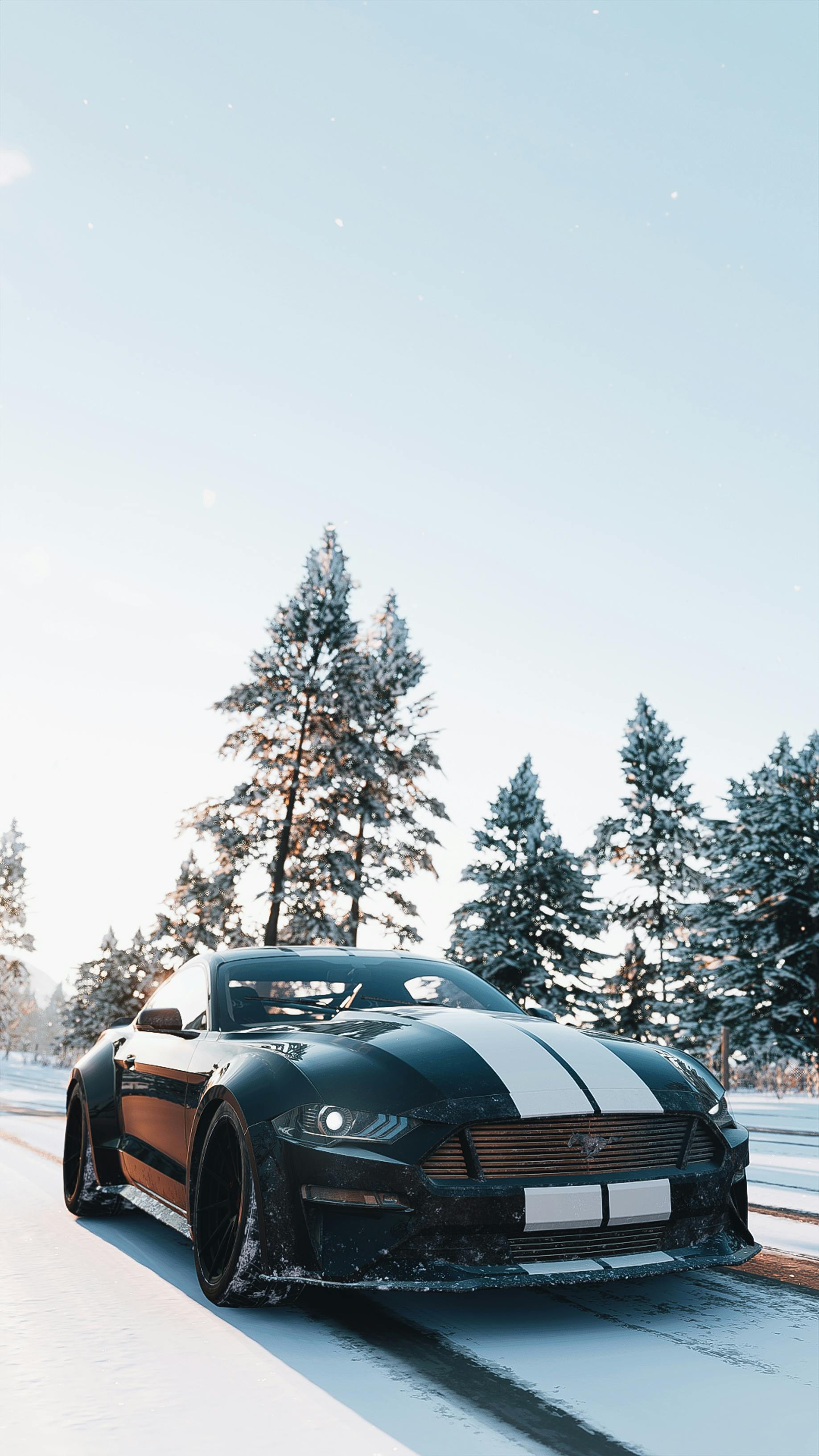Wallpapers