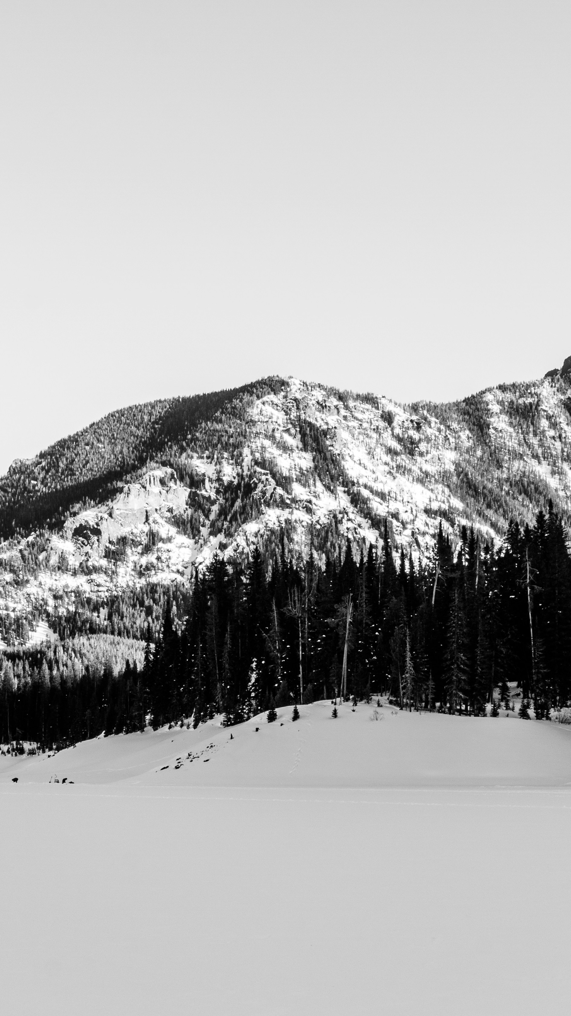 Snowy Winter Mountain Landscape