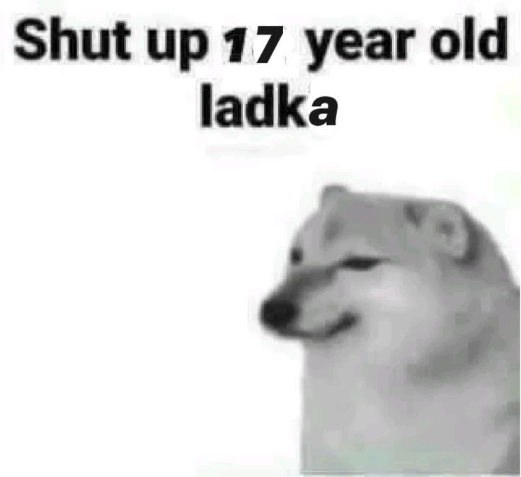 Shut Up 17 Year Old Ladka Meme