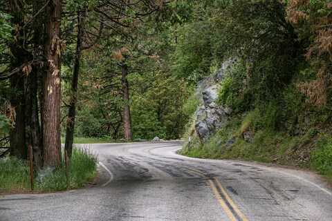Winding Road Through Forest