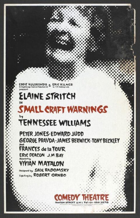 Small Craft Warnings Theatre Poster