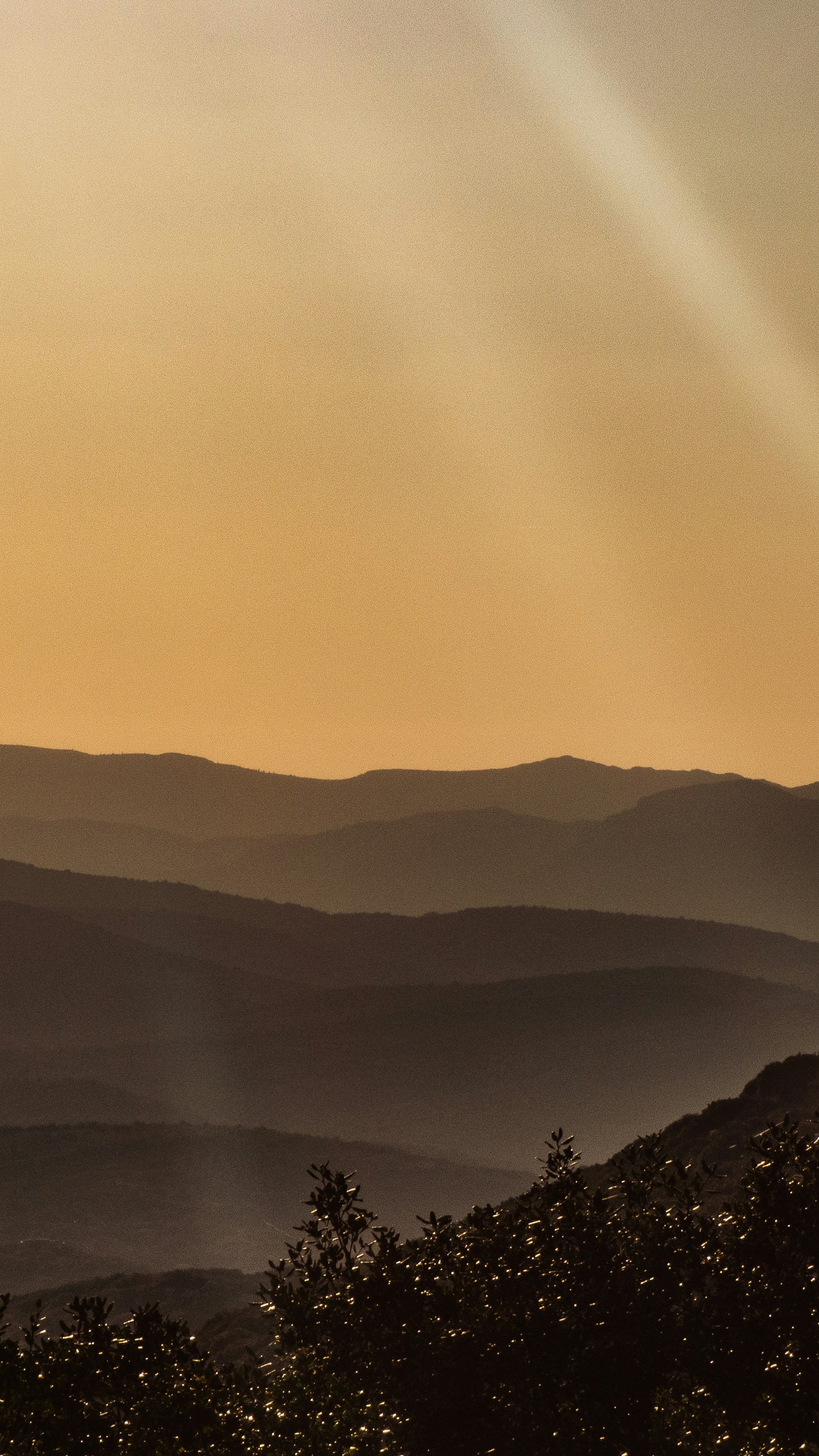 Landscapes