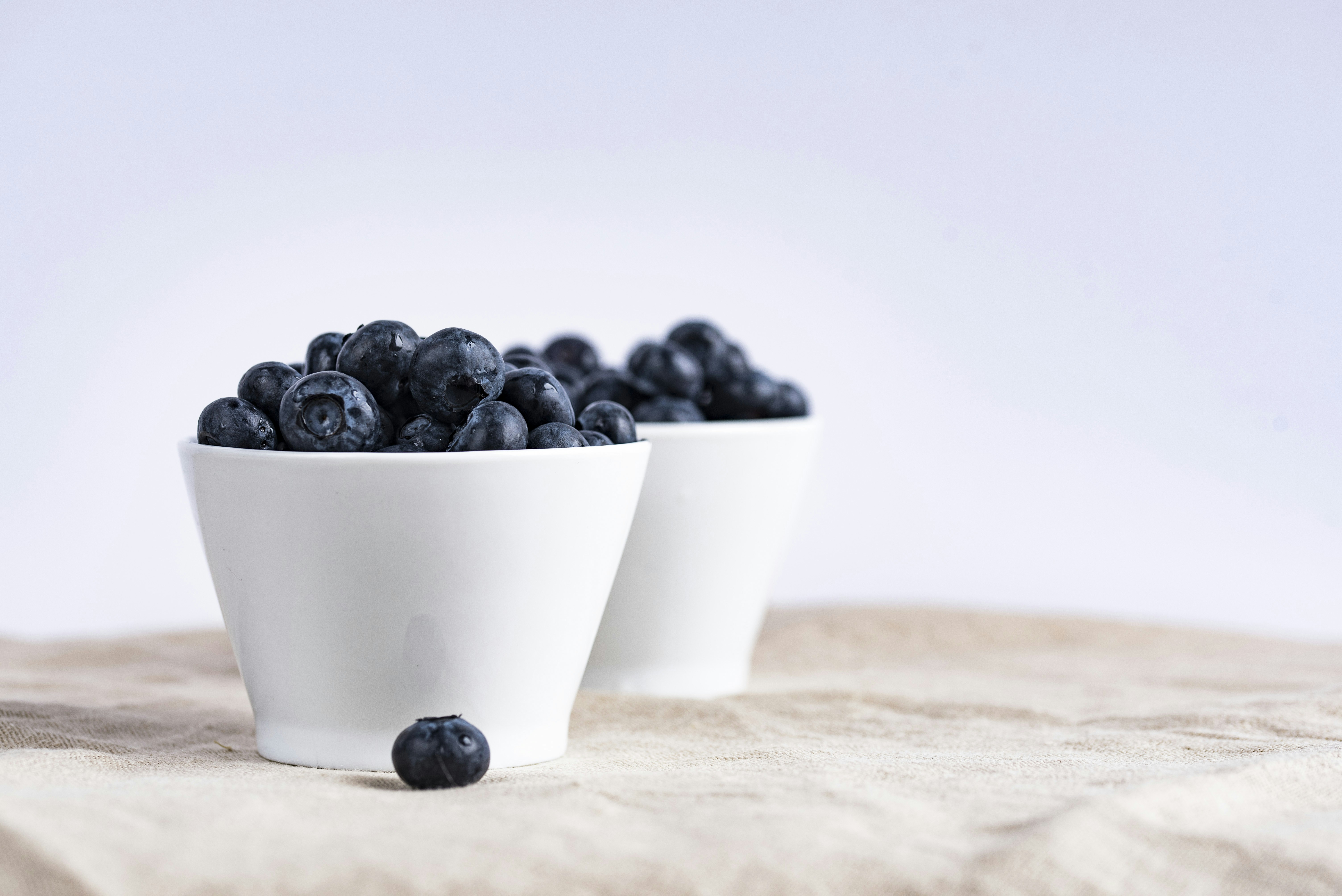 Blueberries in White Bowls — Fruit Encyclopedia