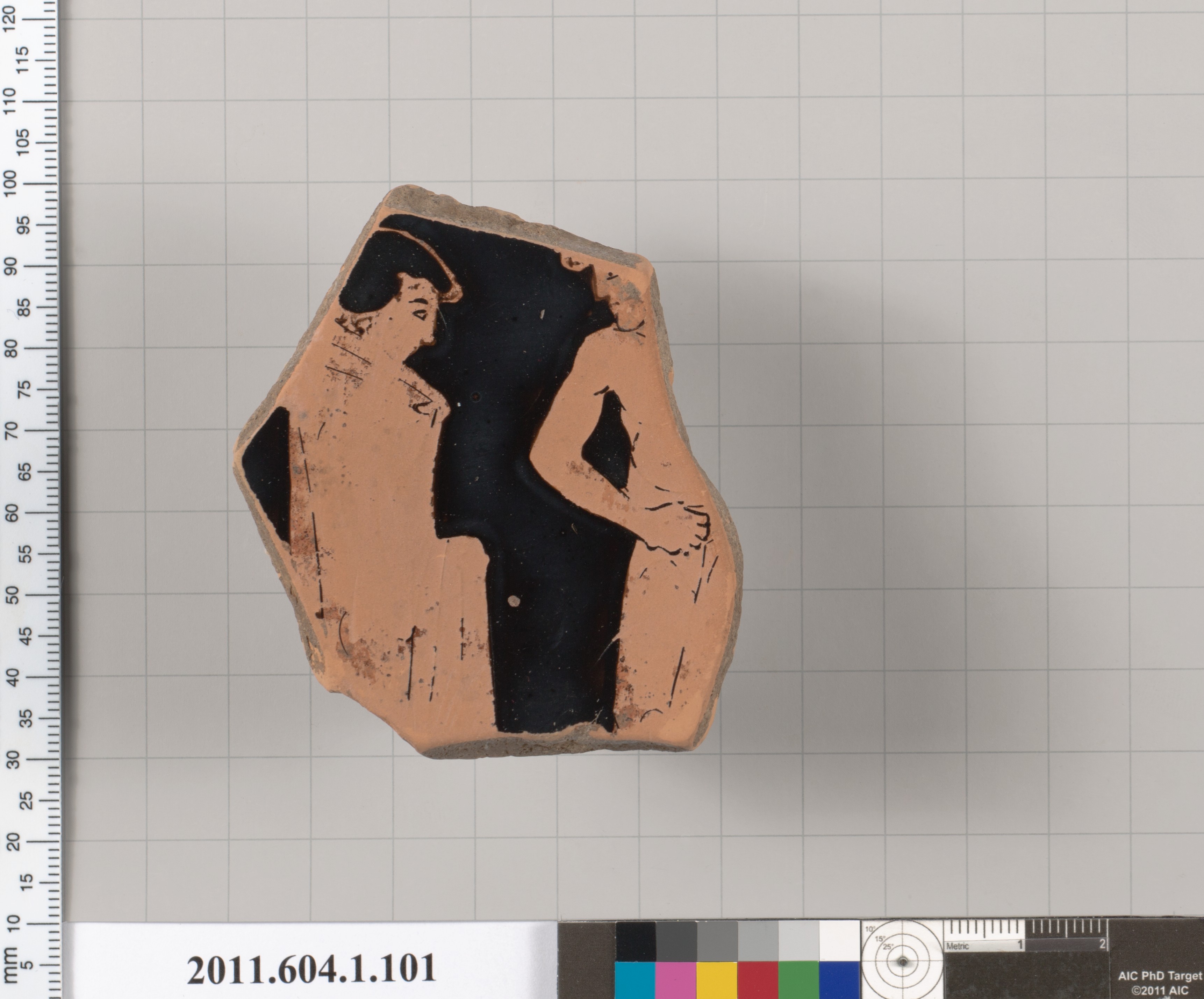 Ancient Terracotta Pottery Fragment