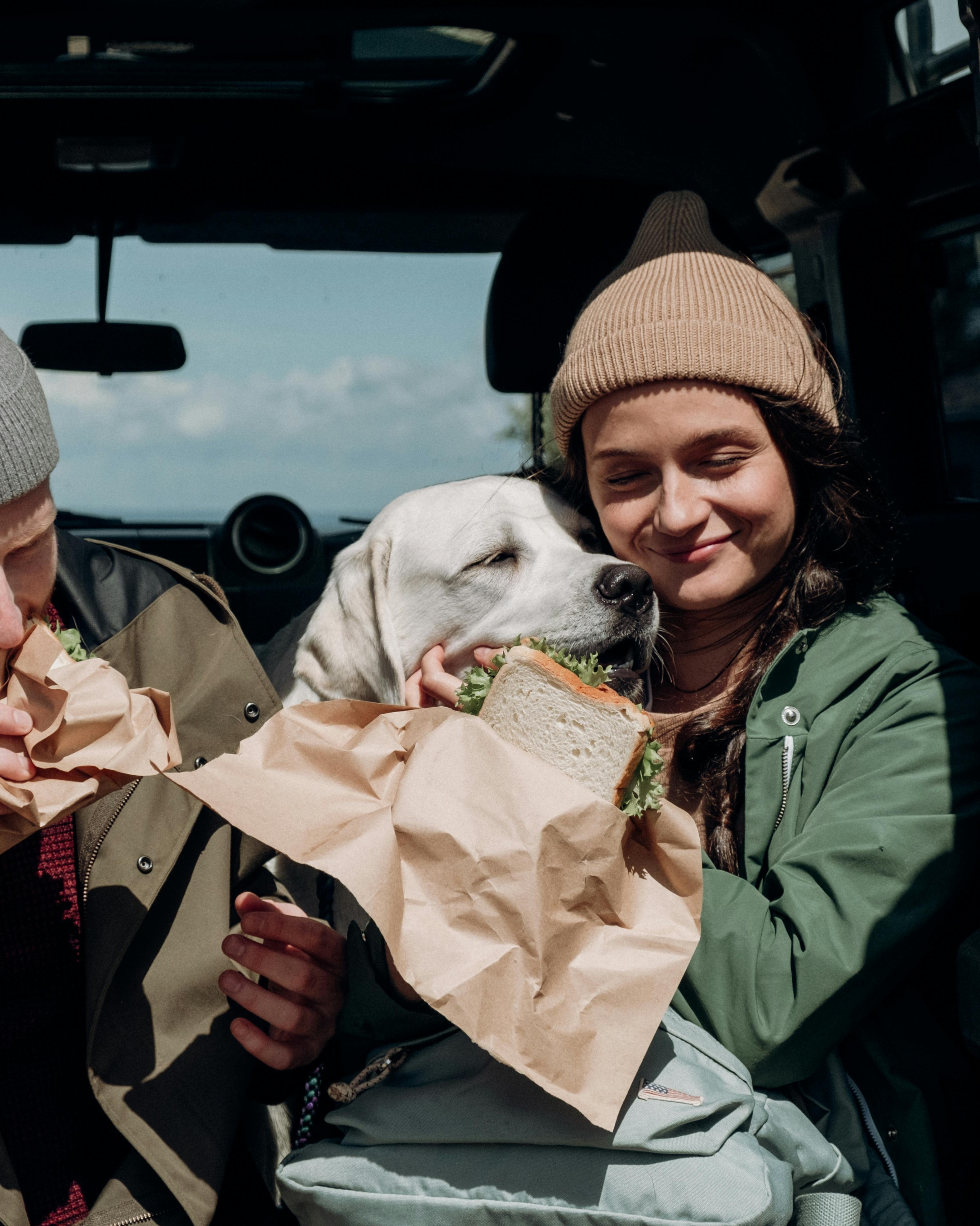 Dog Stealing Sandwich On Road Trip