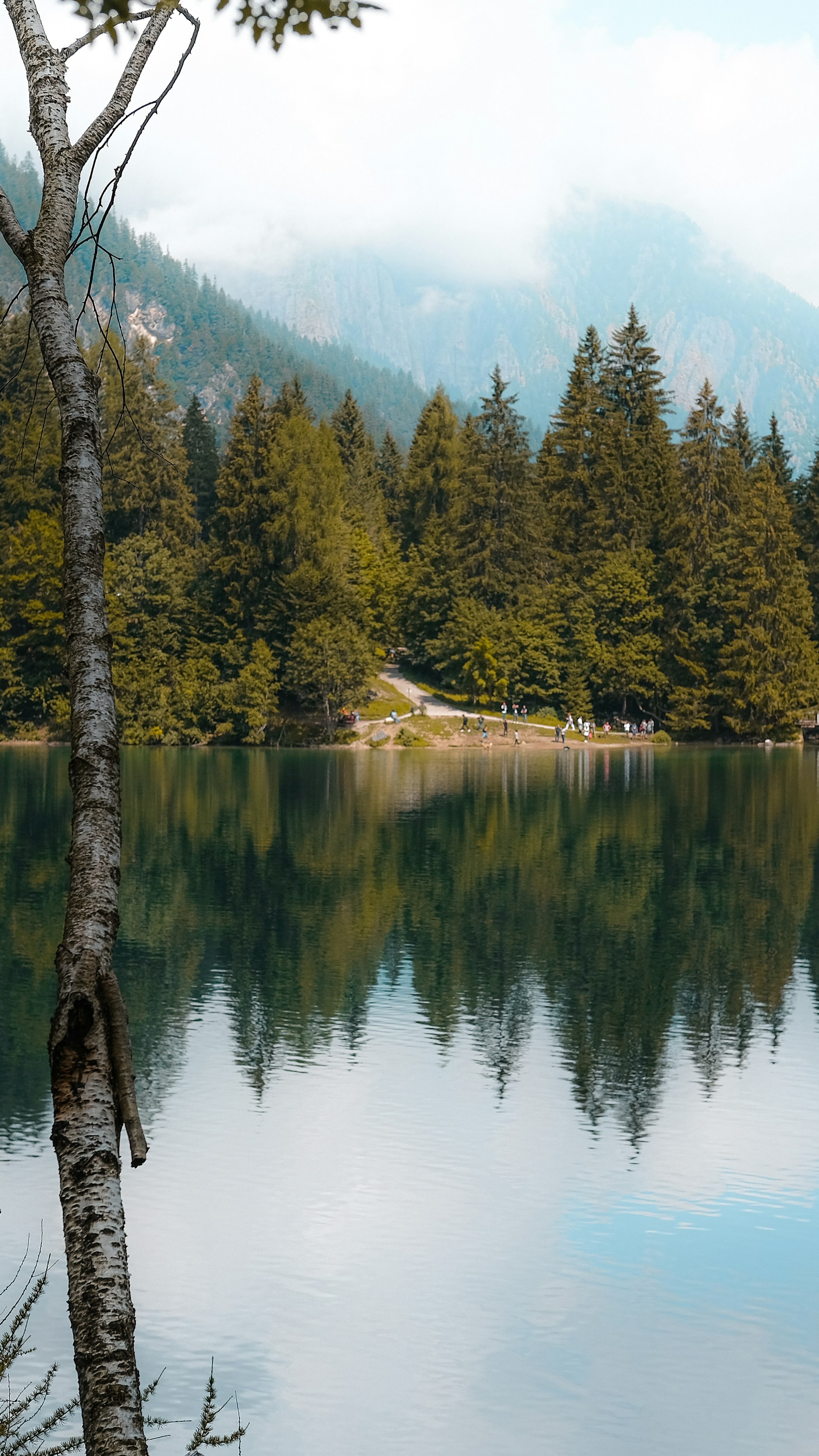 Wallpapers