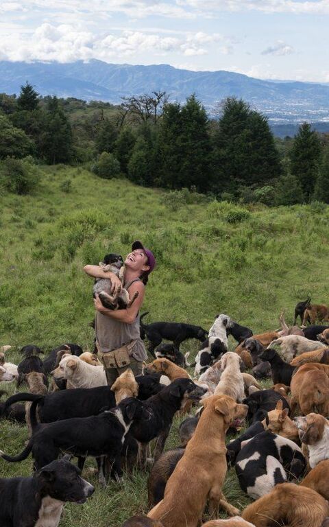 Woman Holding Puppy Among Pack of Dogs