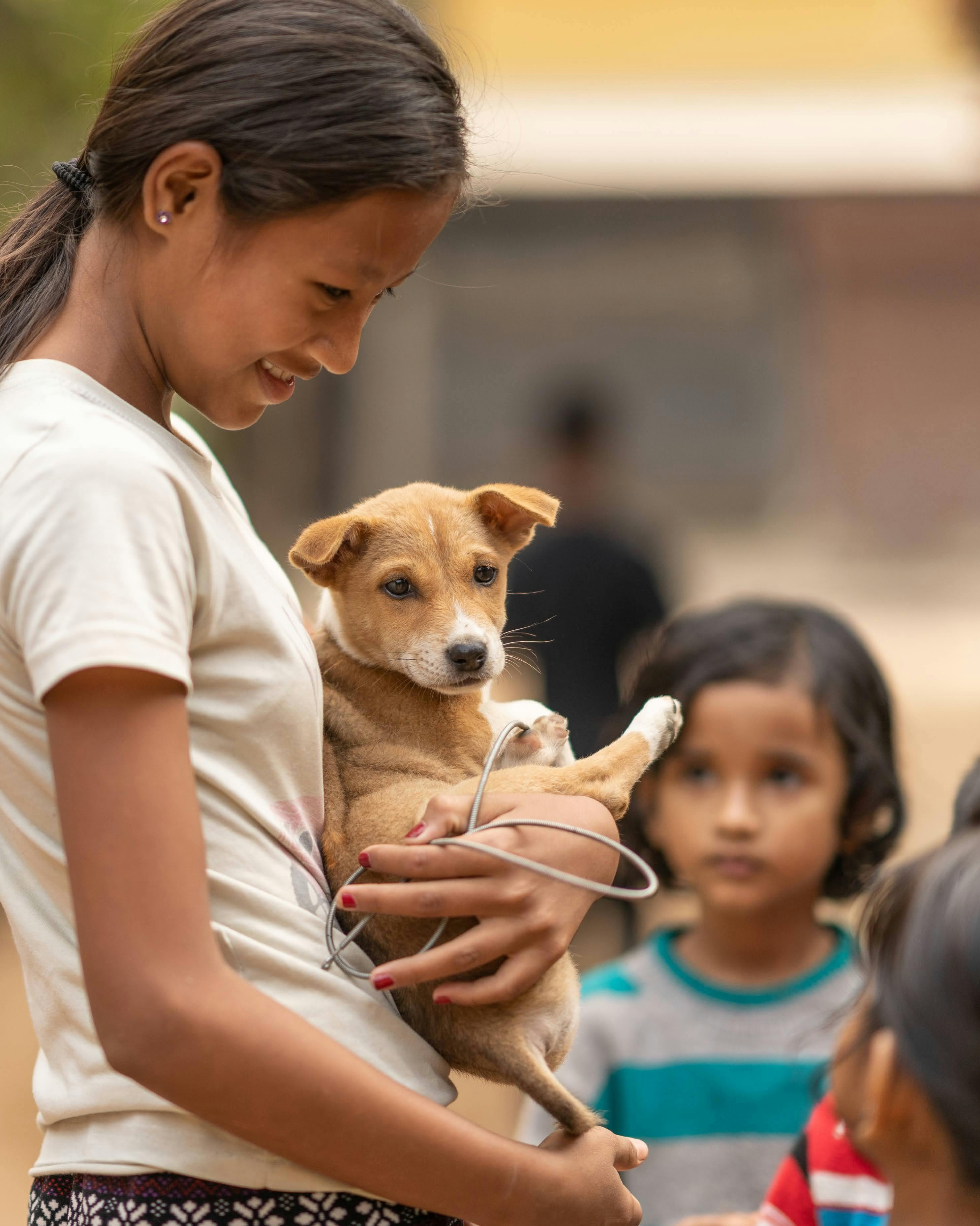 Smiling Girl Holding a Brown Puppy