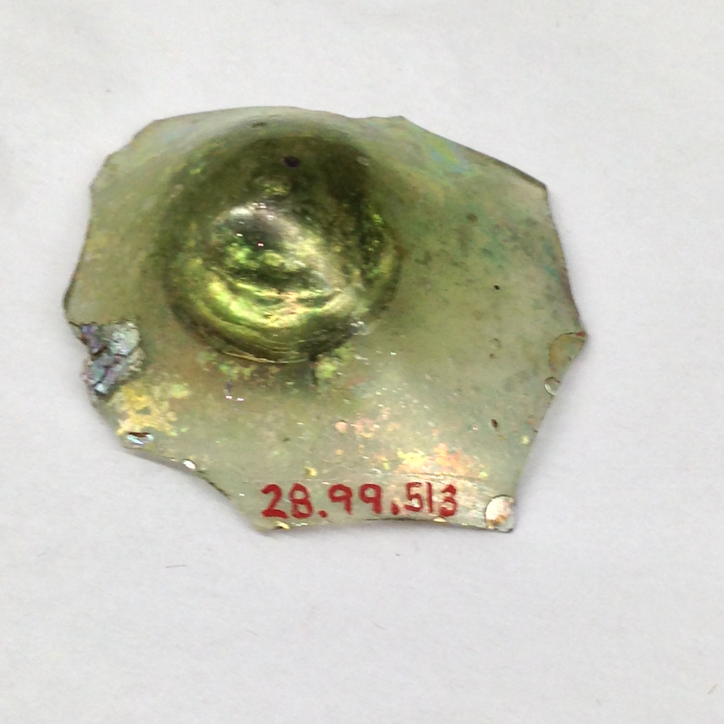 Glass fragment with museum catalog number