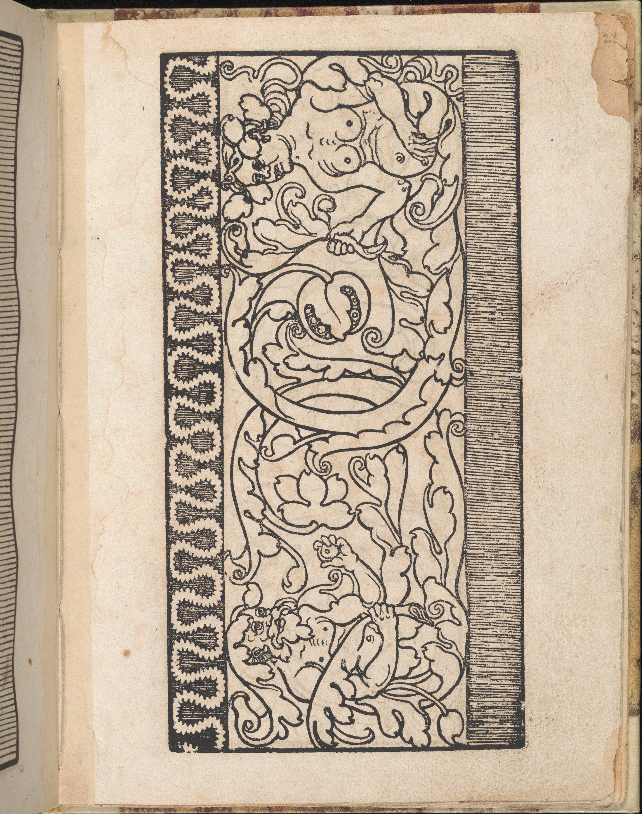 Antique Book Woodcut with Grotesque Figures