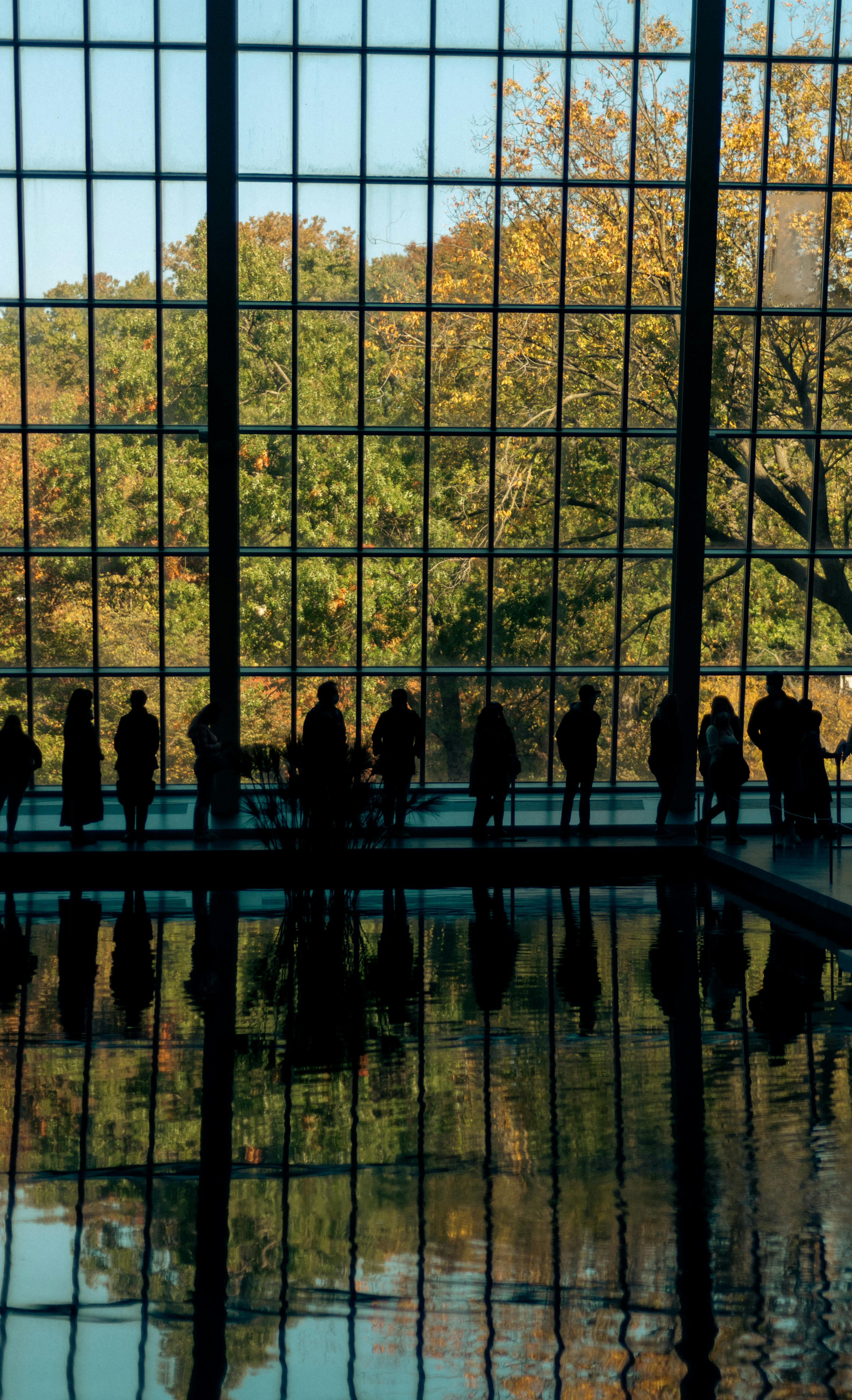 Silhouetted Visitors by Museum Window