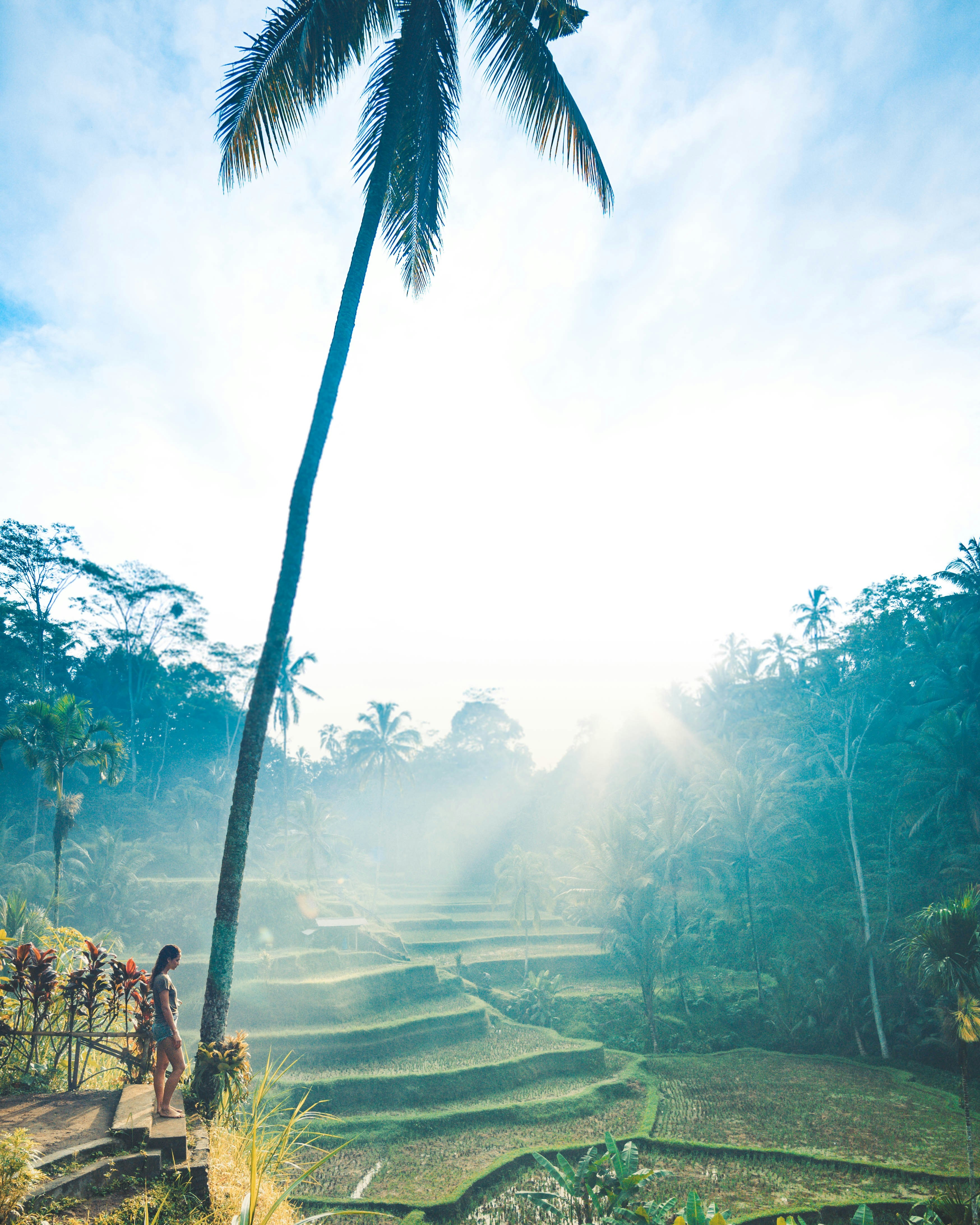 Landscapes
