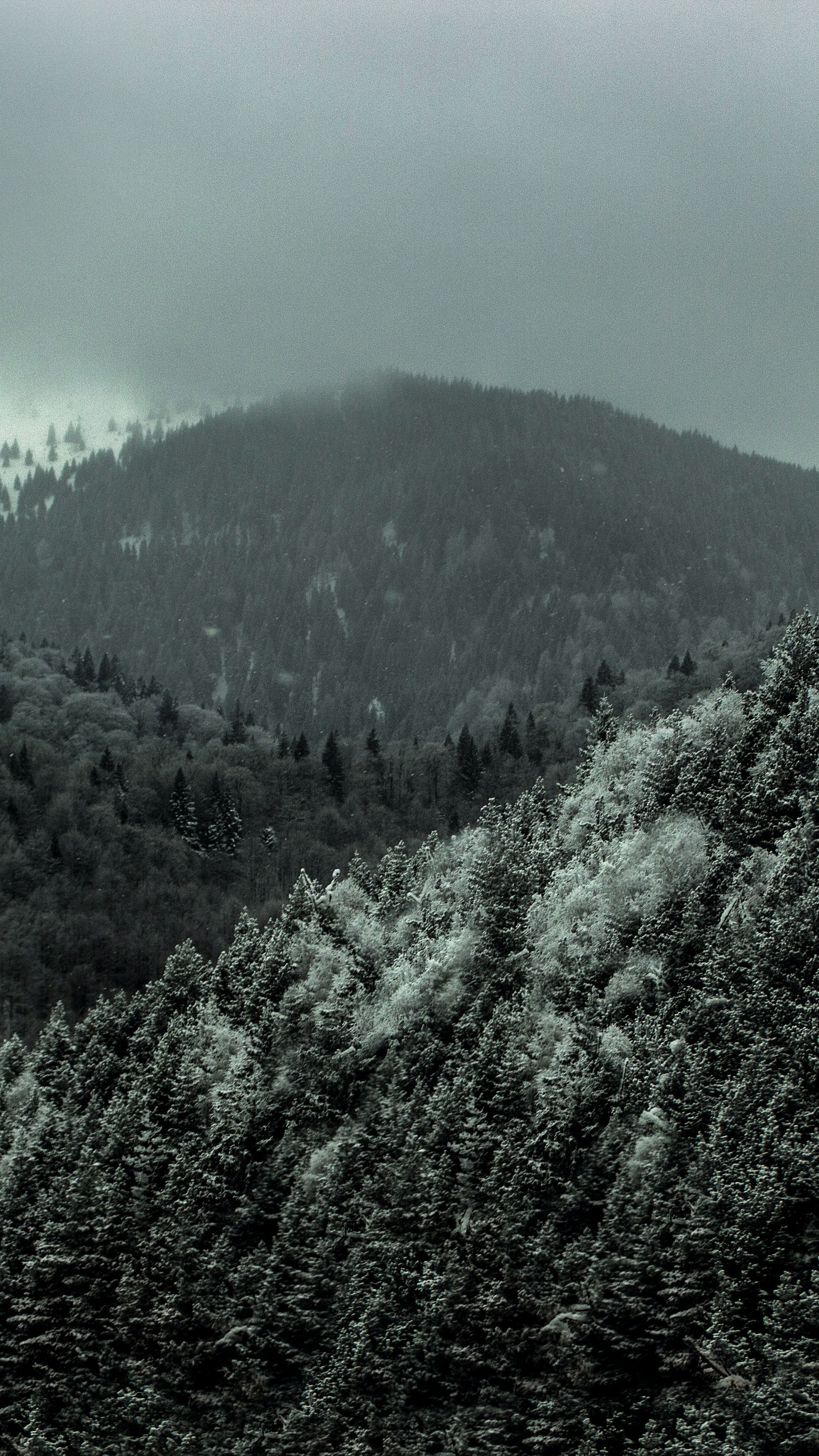Landscapes