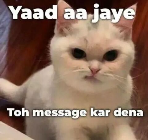 Cute Cat Hindi Text Meme