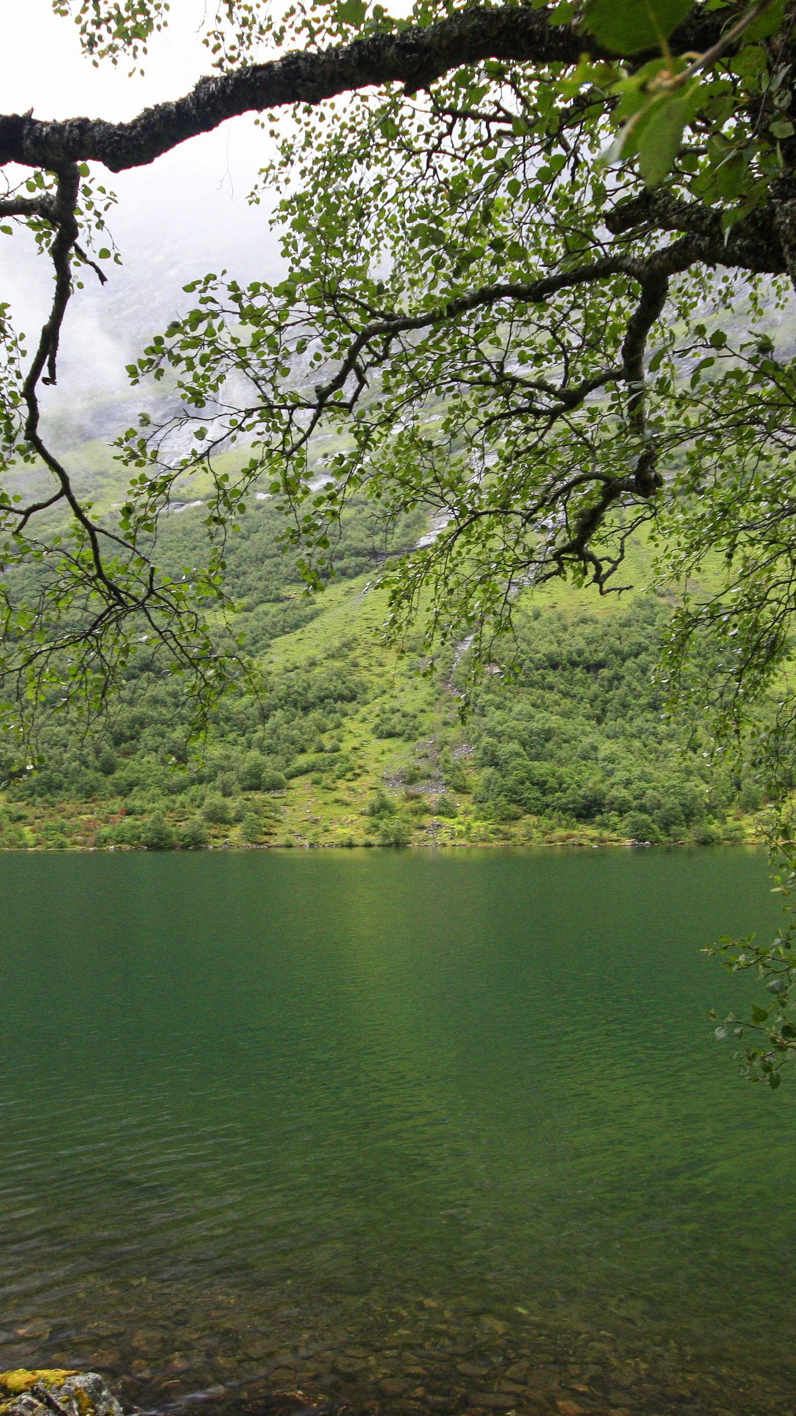 Landscapes