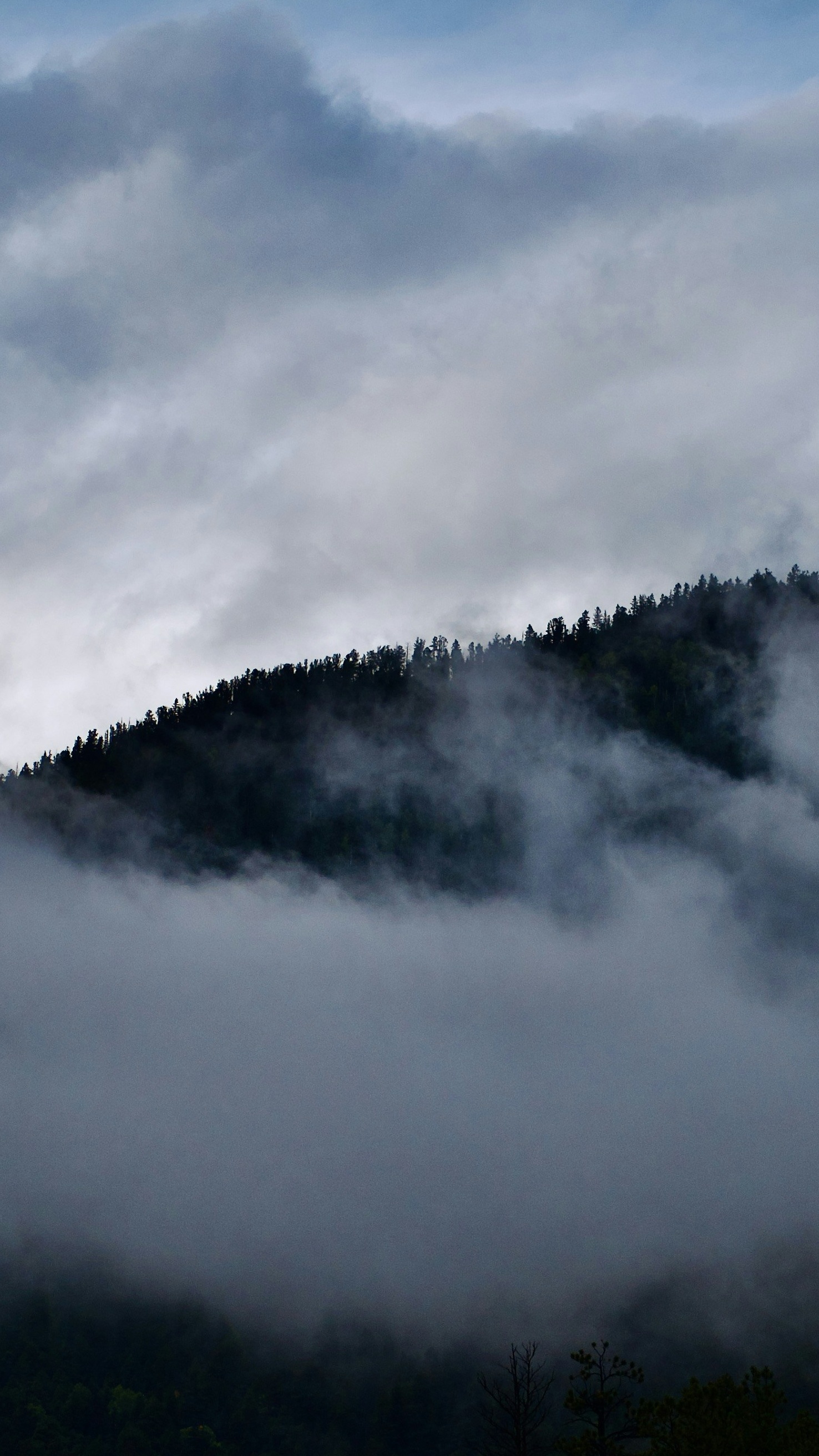Landscapes