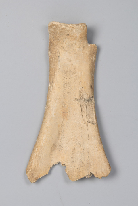 Ancient Inscribed Oracle Bone