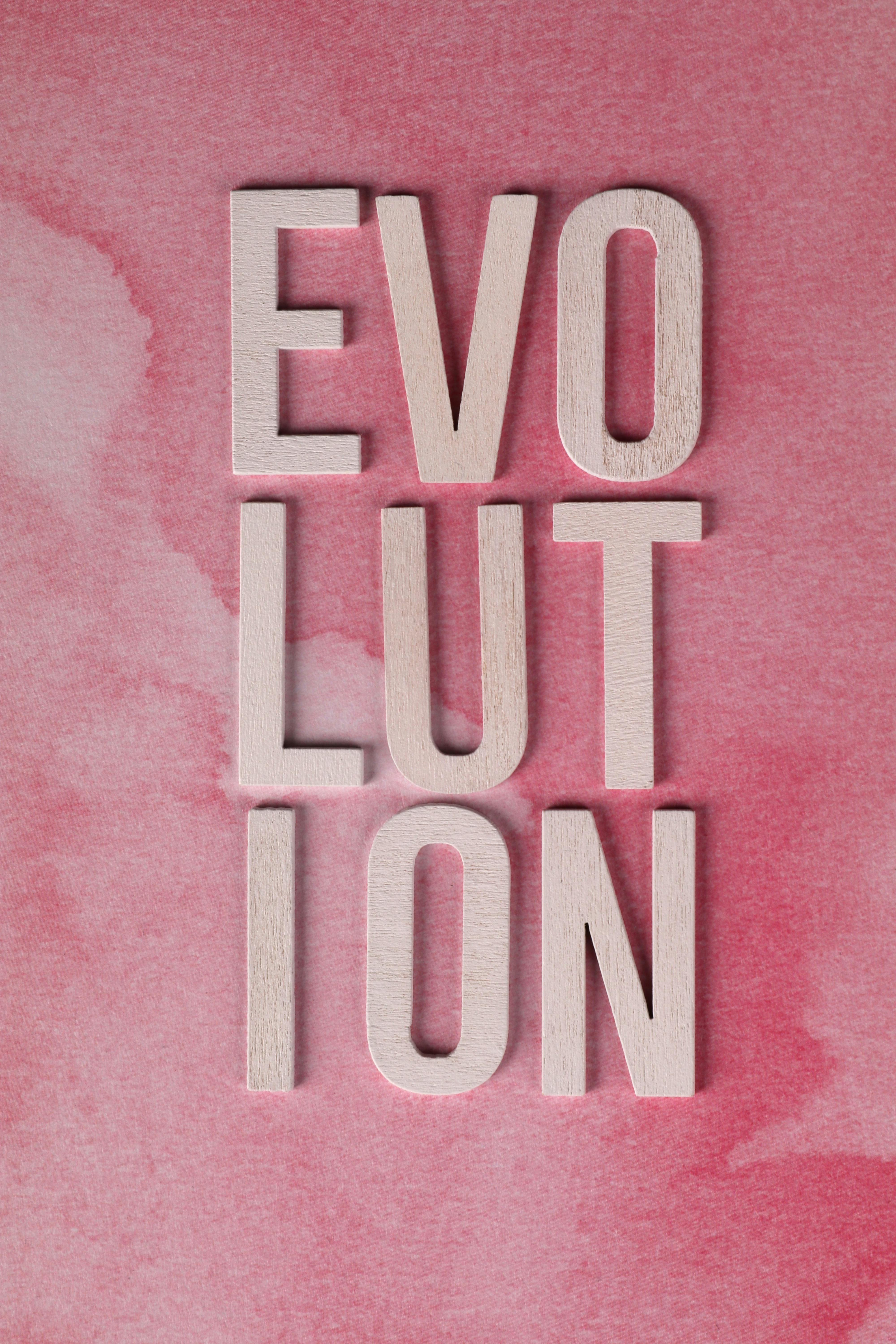 Wooden Letters Spelling Evolution