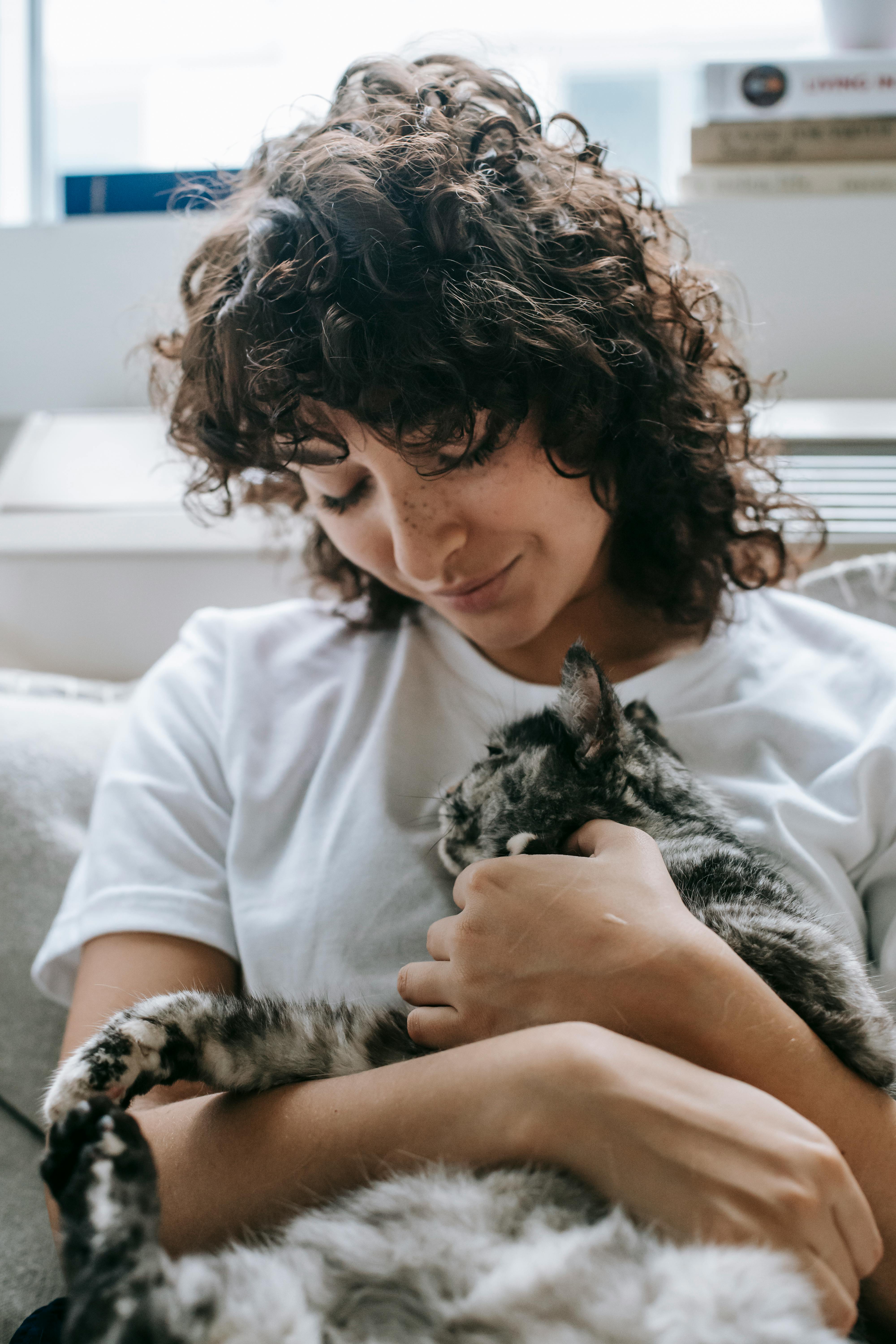 Image 1509070 — Pets