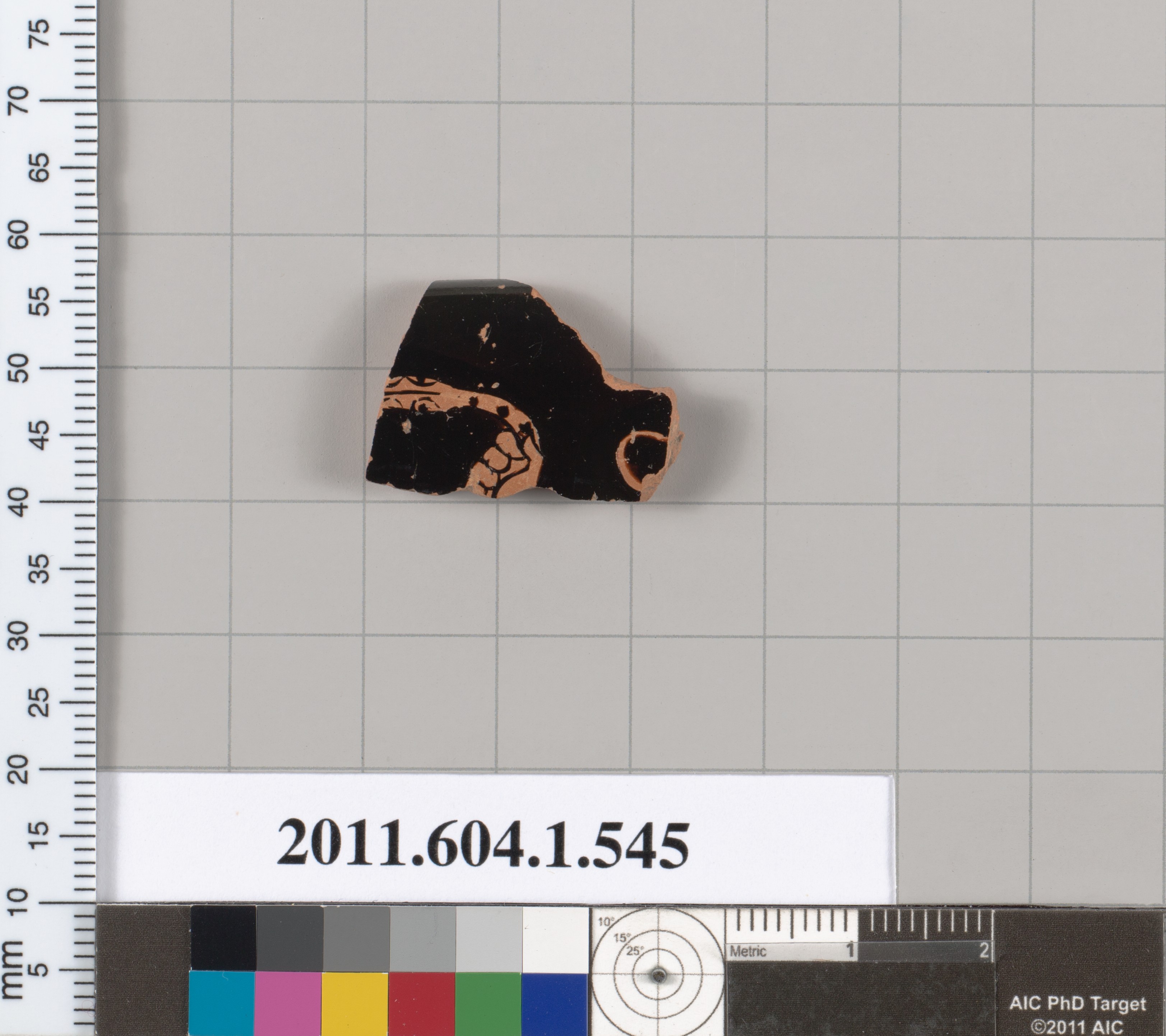 Ancient Pottery Fragment Specimen