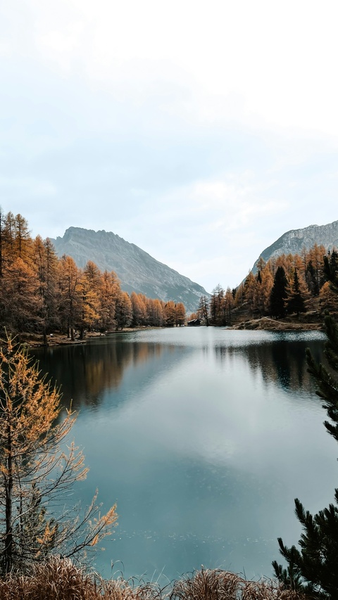 Autumn Mountain Lake Landscape