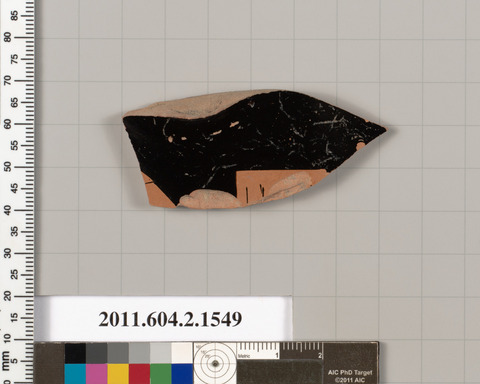 Ancient Pottery Shard Artifact