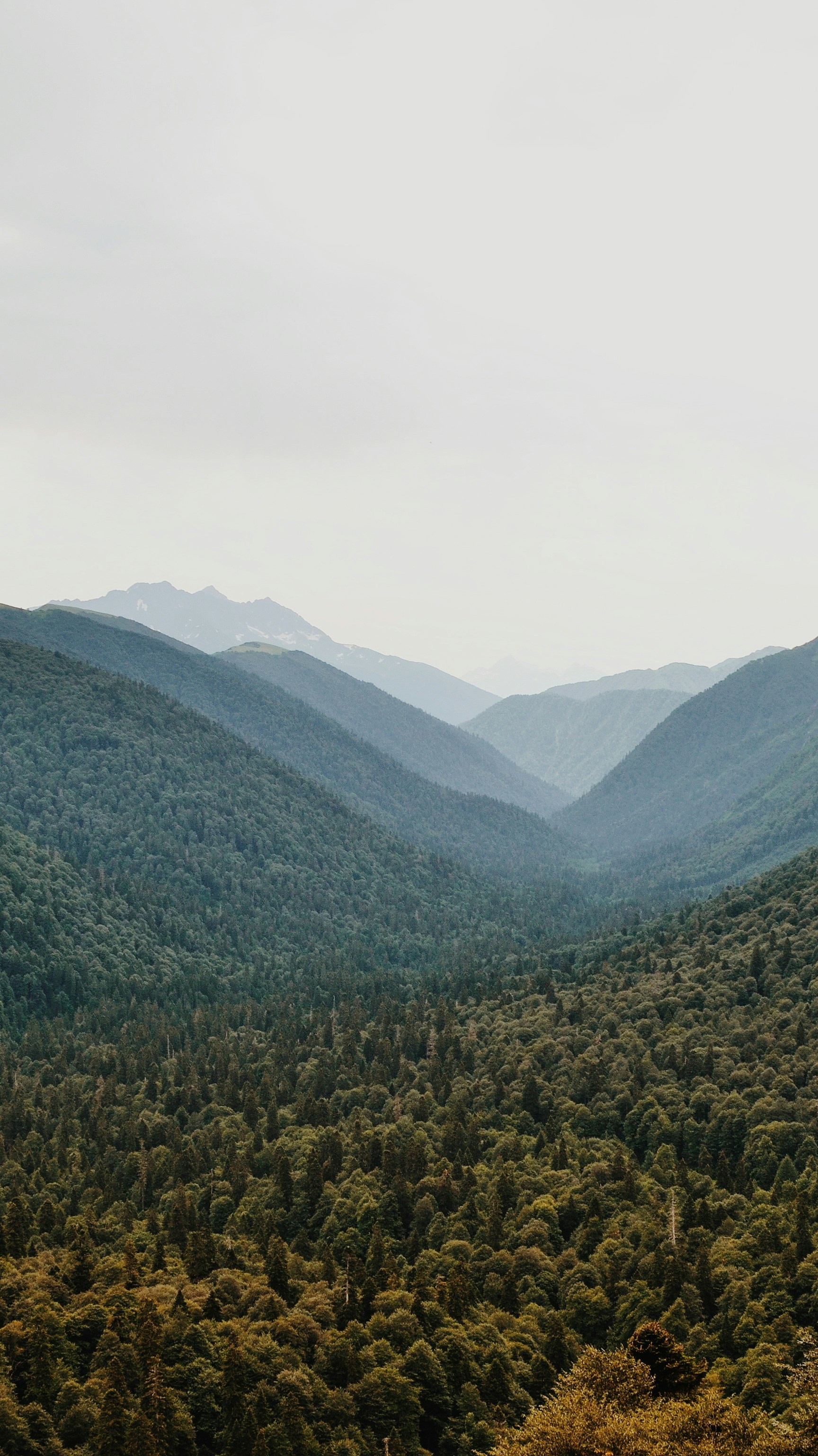 Landscapes