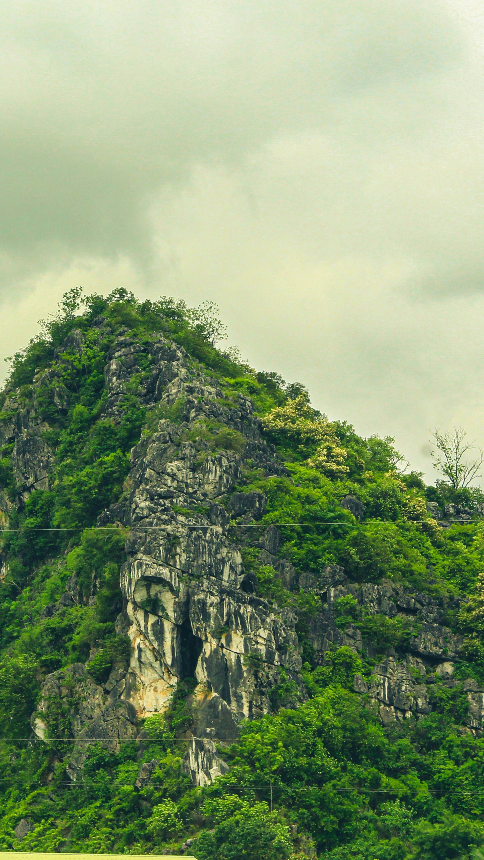 Landscapes