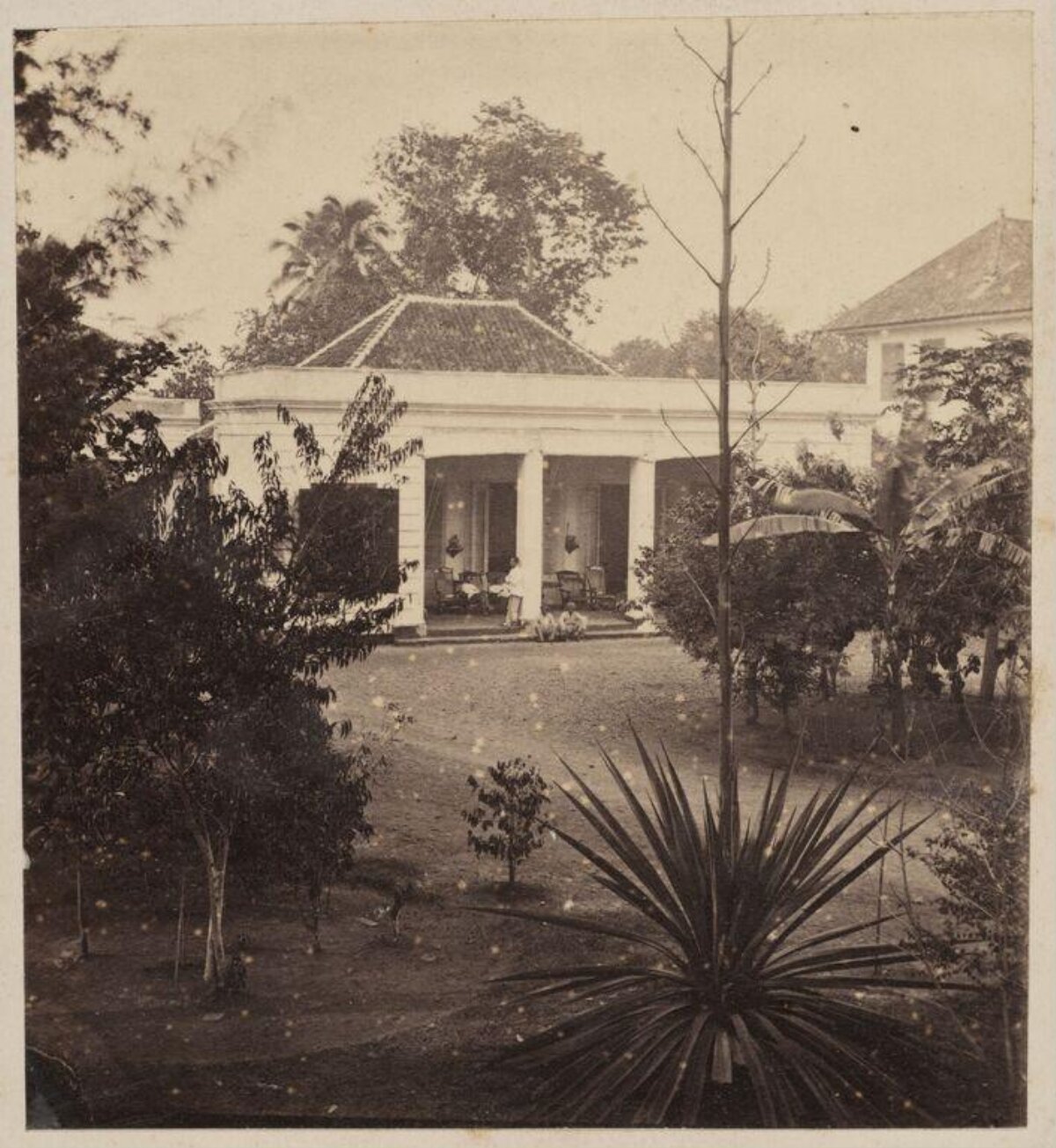 Vintage Colonial House Garden View
