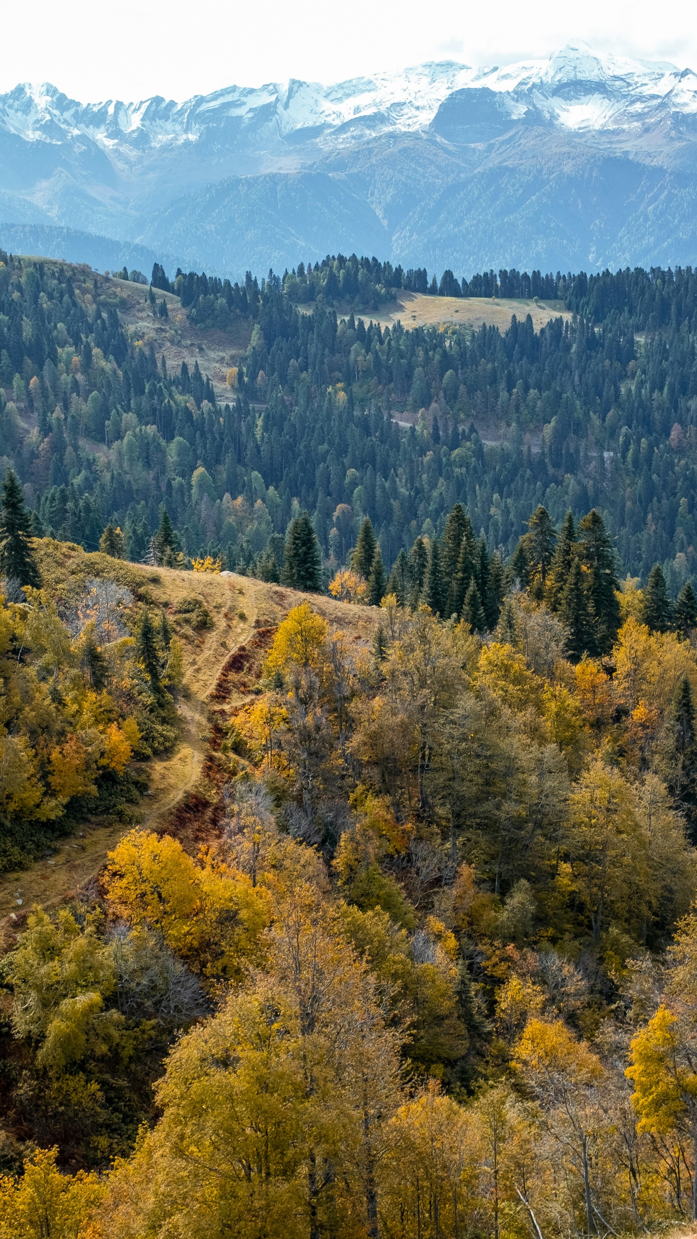 Autumn Mountain Landscape with Snow Peaks