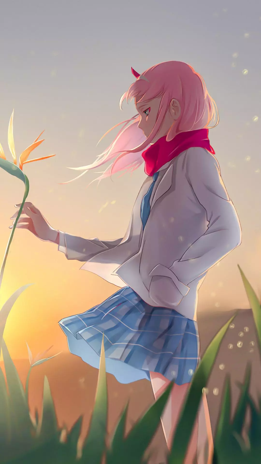 Wallpapers
