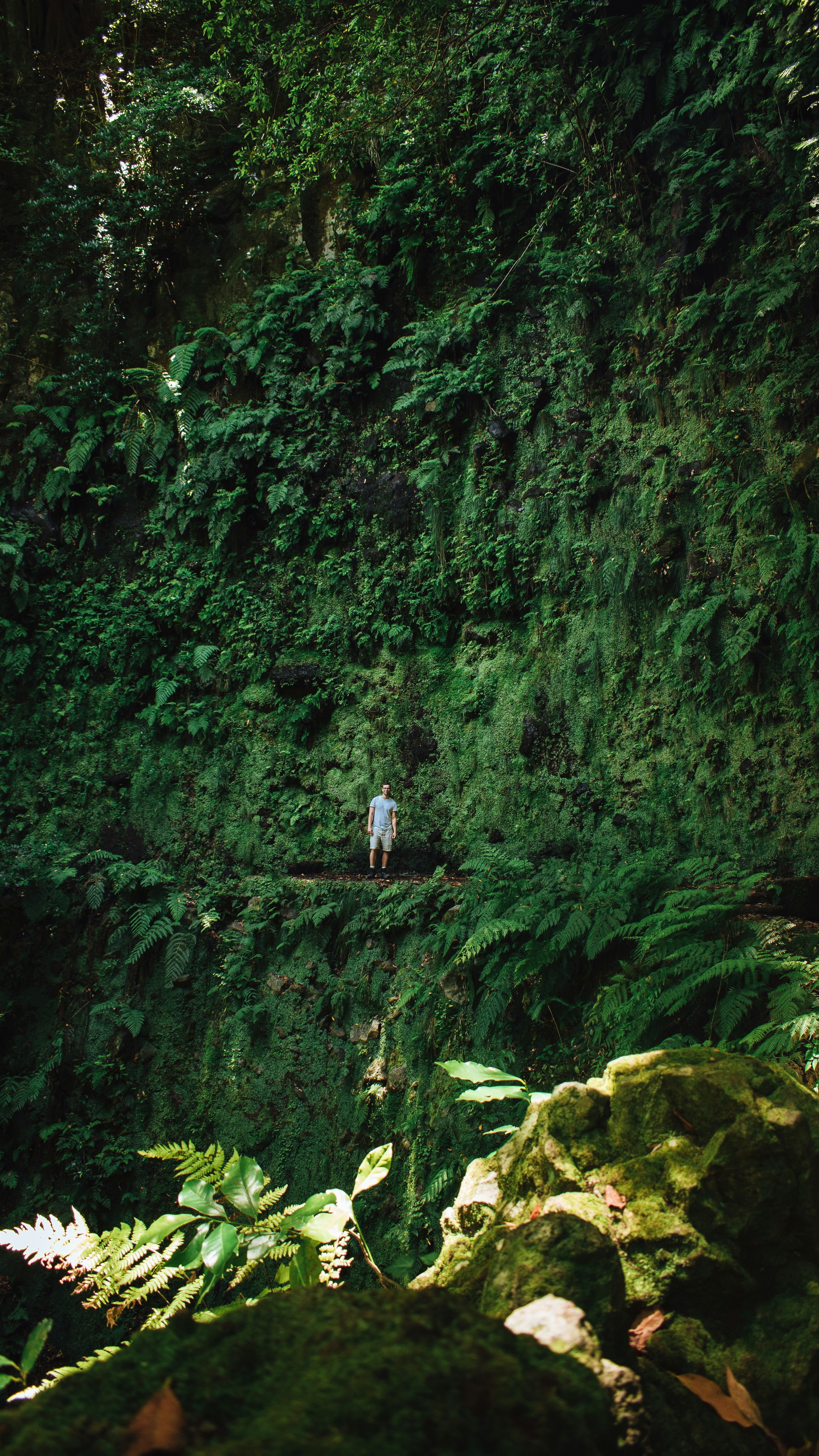 Wallpapers