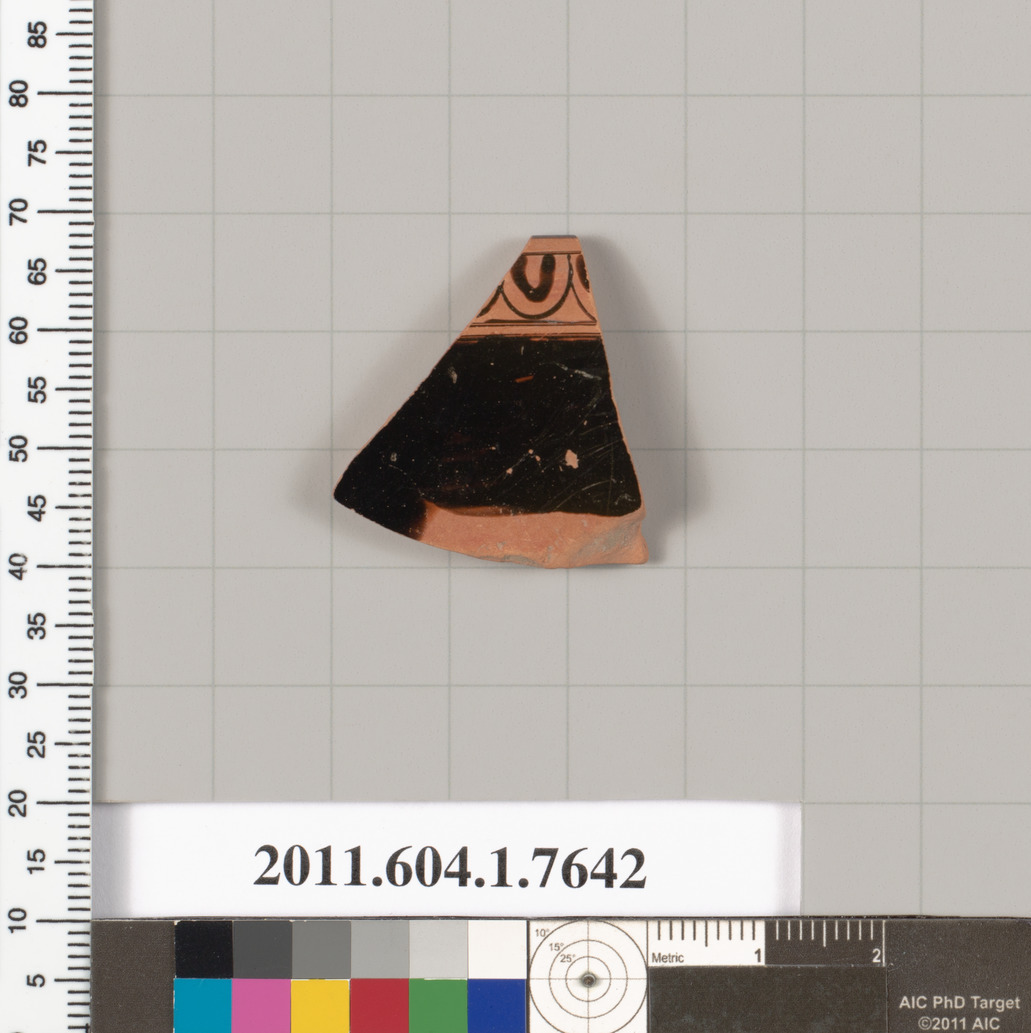 Ancient Pottery Fragment Specimen