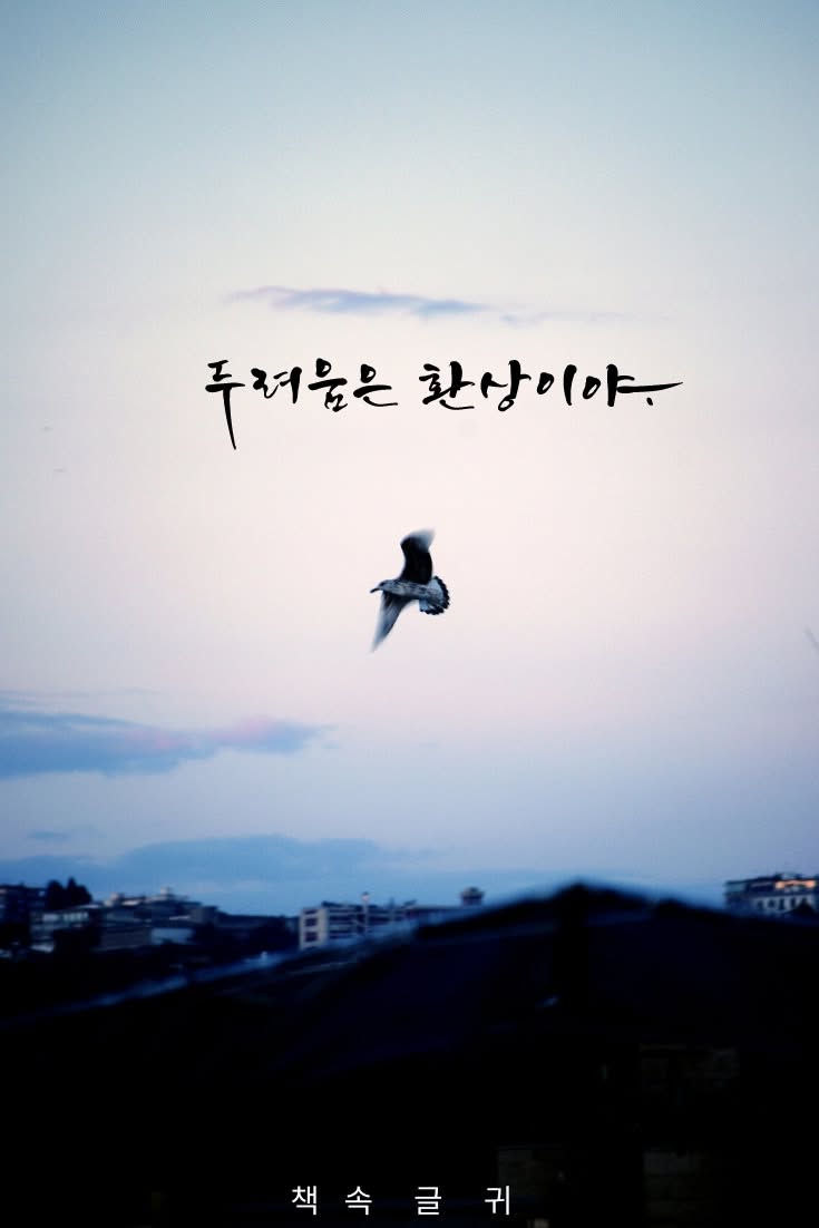 Flying Bird Above Dusk Cityscape