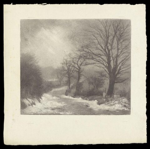 Snowy Winter Country Road Landscape