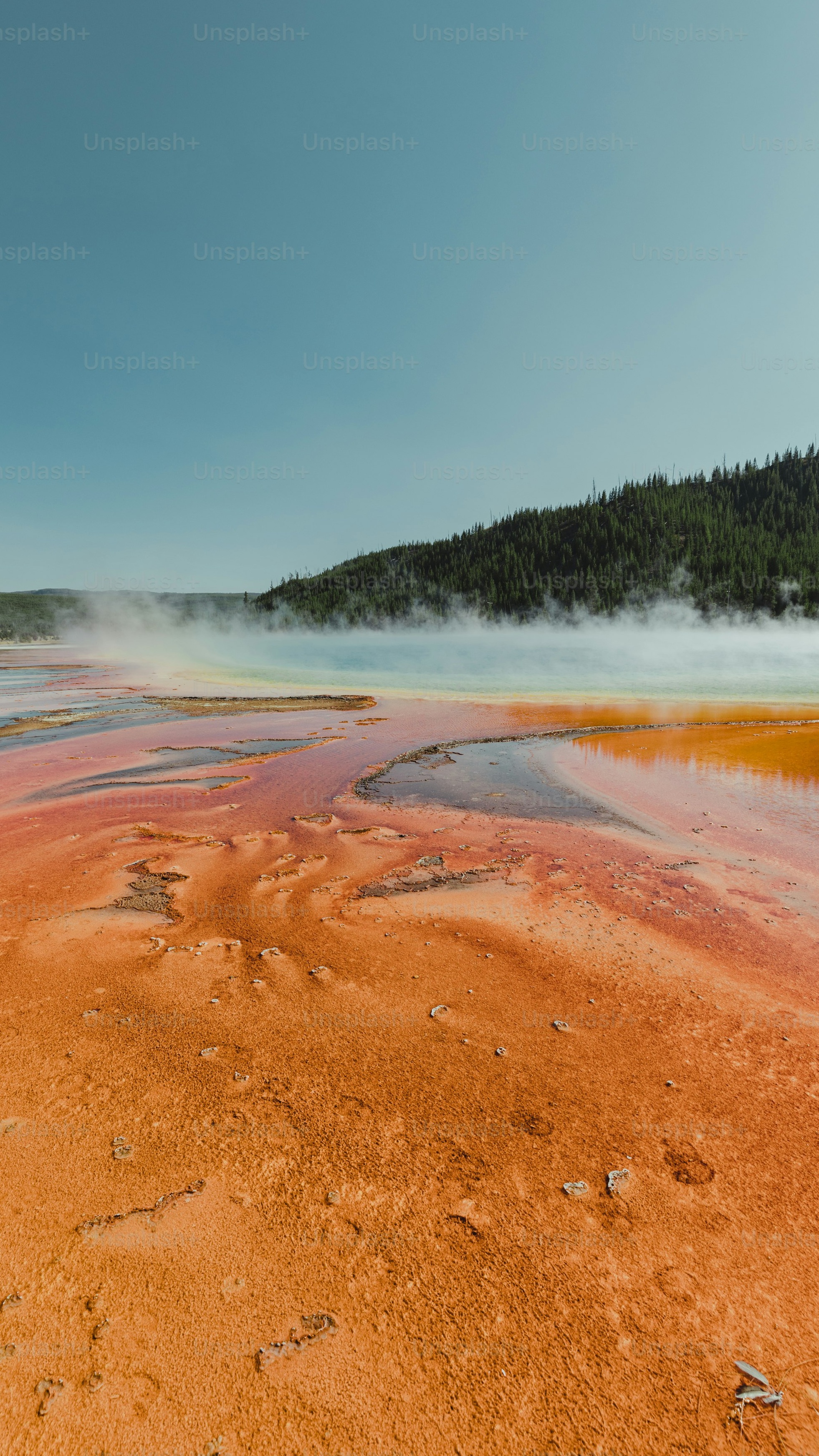 Yellowstone Colorful Hot Spring