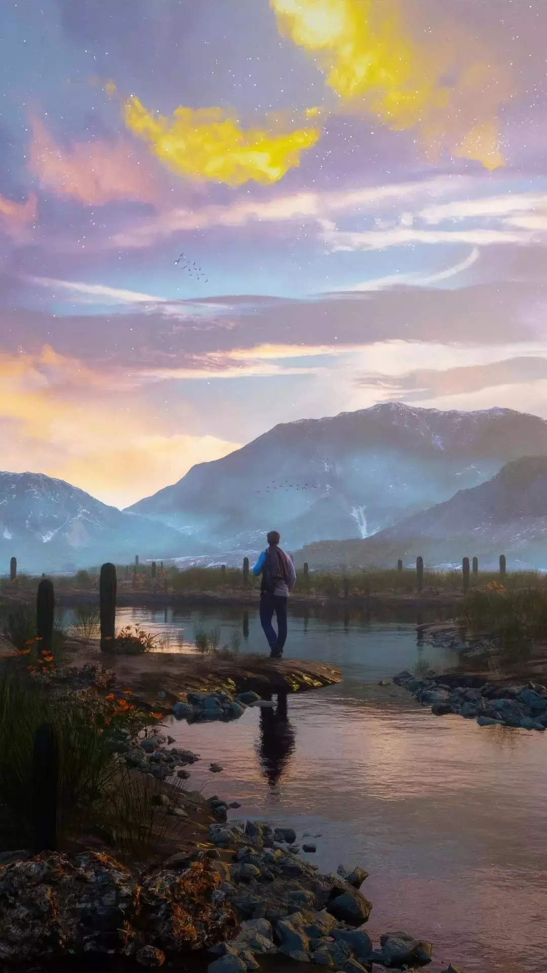 Landscapes